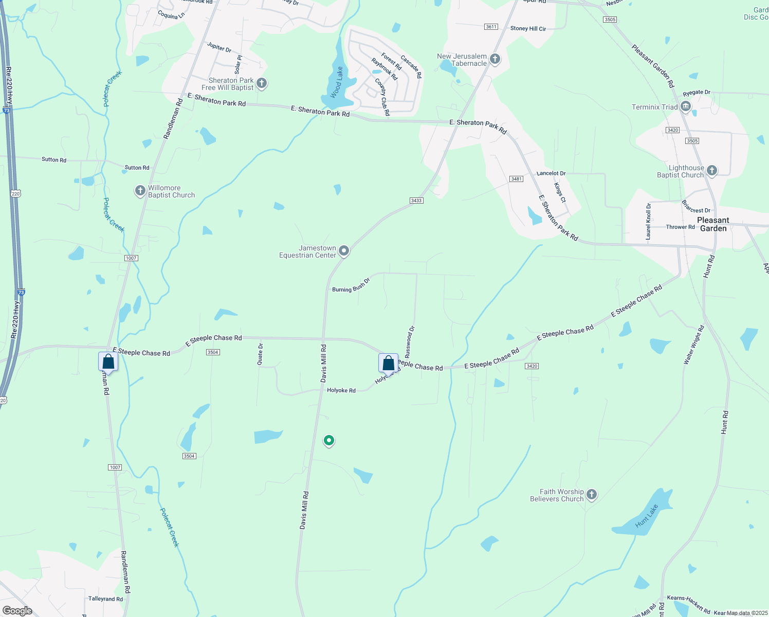 map of restaurants, bars, coffee shops, grocery stores, and more near 6208 Oak Bur Court in Pleasant Garden
