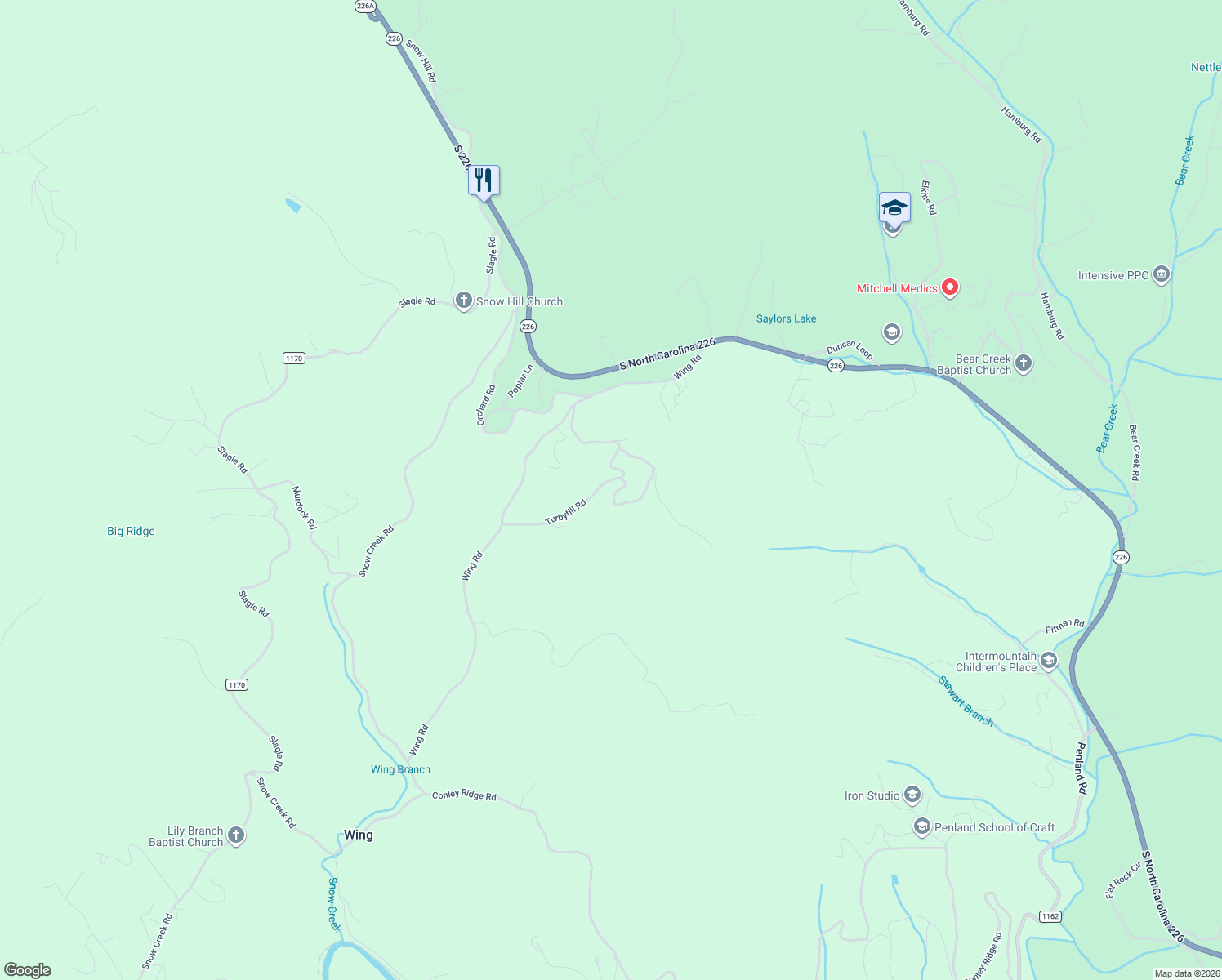 map of restaurants, bars, coffee shops, grocery stores, and more near 226 Grace Ridge Drive in Bakersville