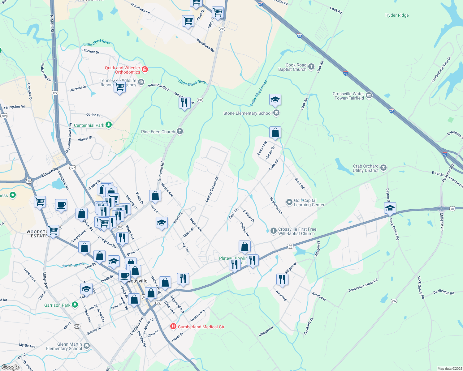 map of restaurants, bars, coffee shops, grocery stores, and more near 196 Rusty Blue Dr in Crossville