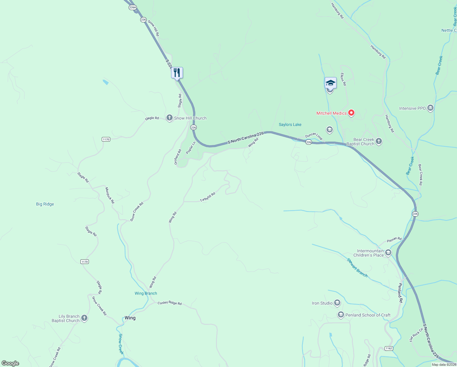 map of restaurants, bars, coffee shops, grocery stores, and more near 226 Grace Ridge Drive in Bakersville