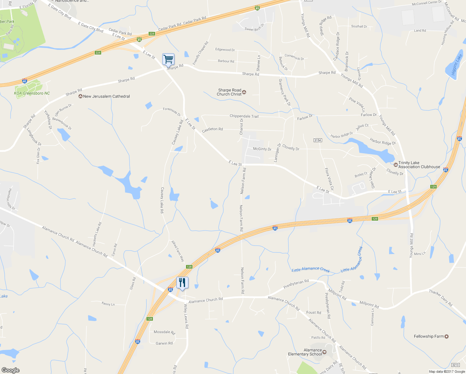 map of restaurants, bars, coffee shops, grocery stores, and more near 2508 Nelson Farm Road in Greensboro