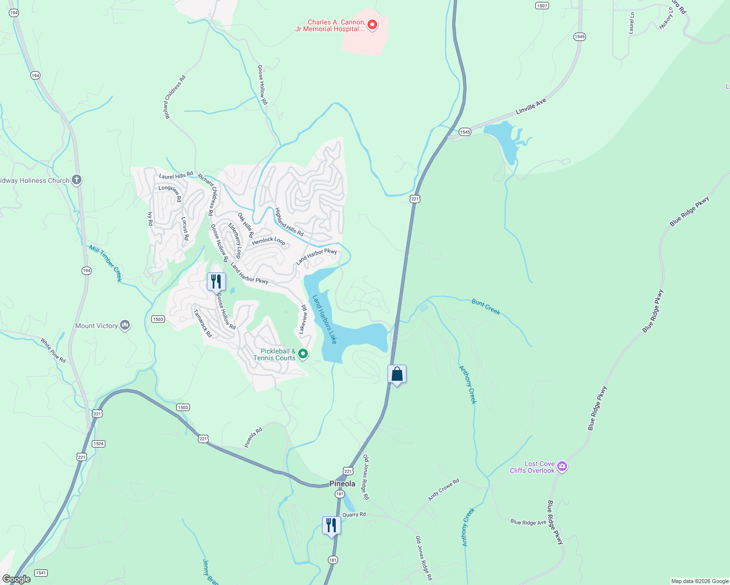 map of restaurants, bars, coffee shops, grocery stores, and more near 269 Woodcliff Loop in Newland