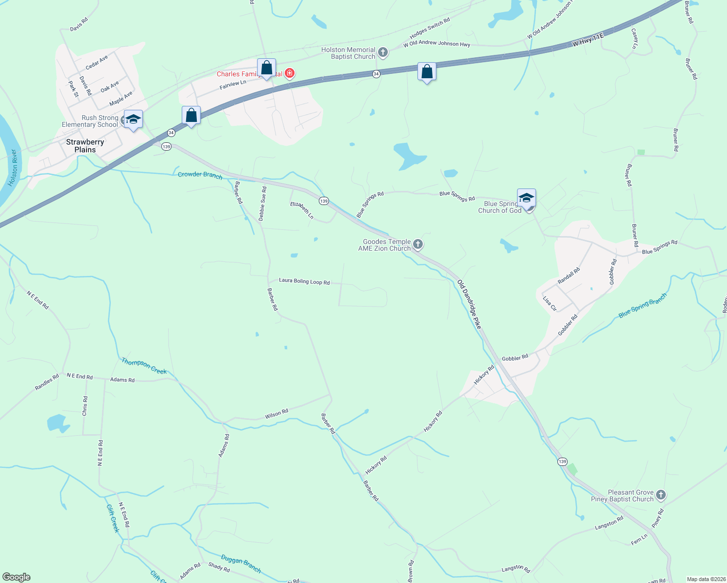 map of restaurants, bars, coffee shops, grocery stores, and more near 506 Ronald Dr in Strawberry Plains