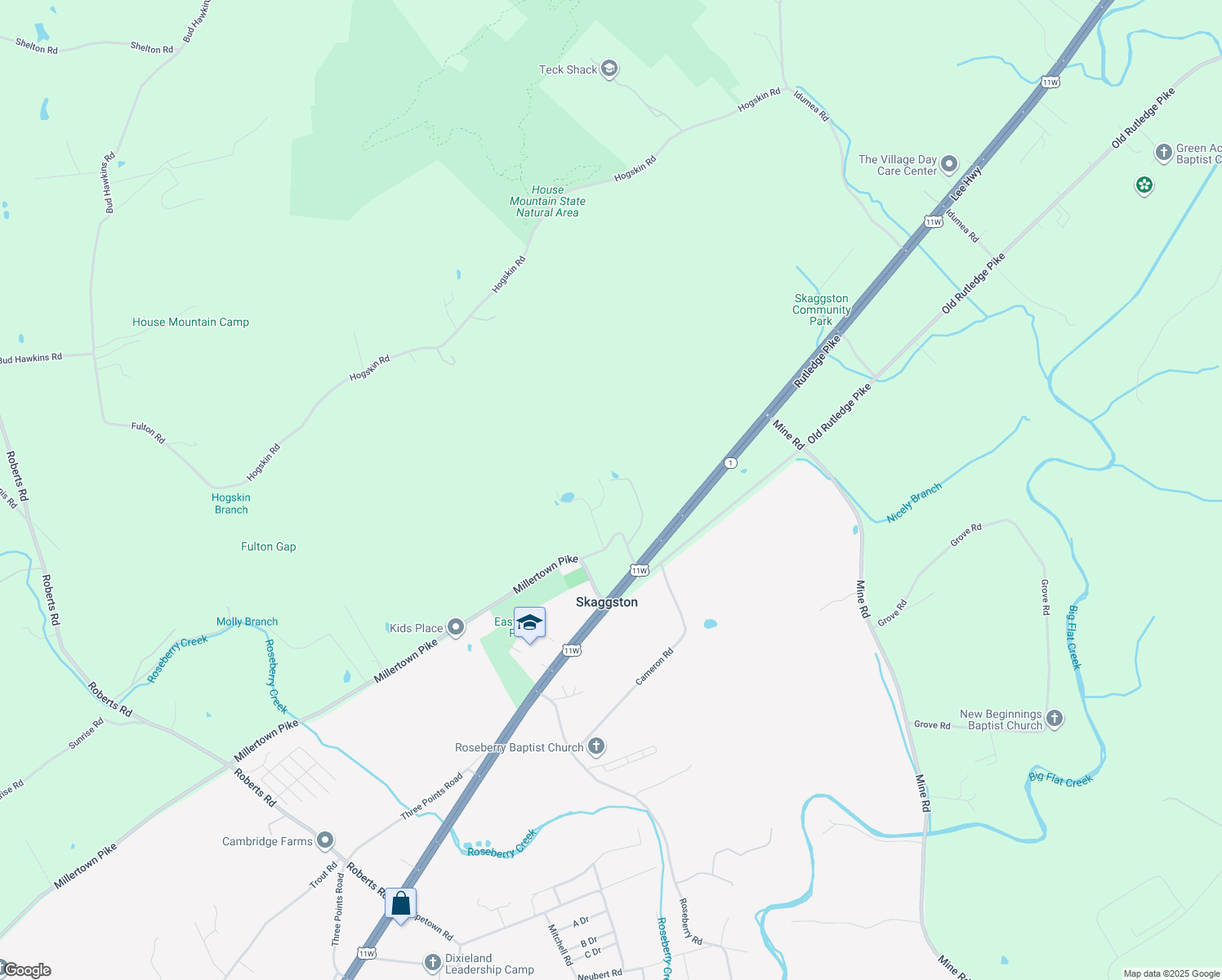 9449 Skaggston School Road, Corryton TN Walk Score