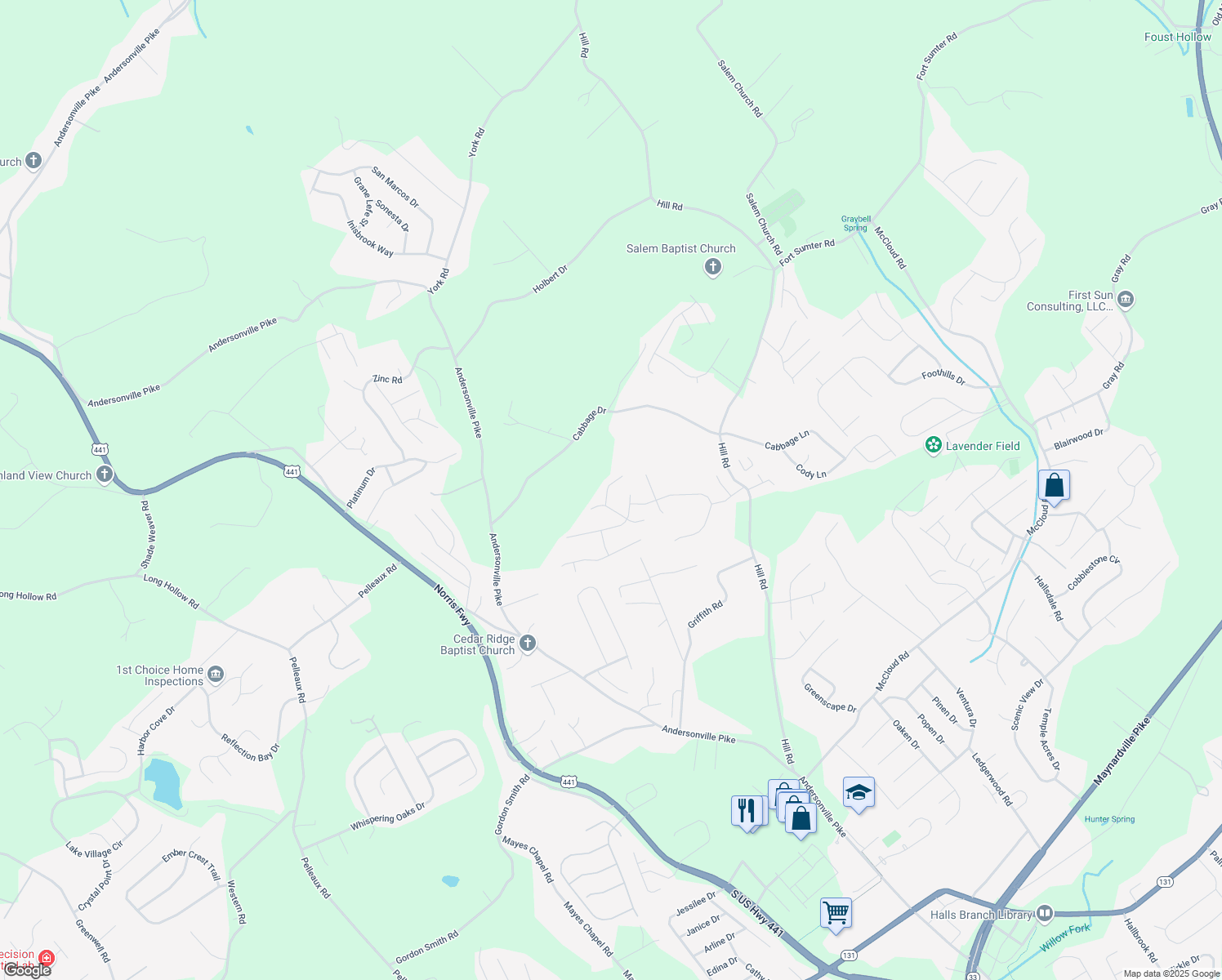 map of restaurants, bars, coffee shops, grocery stores, and more near 4208 Miracle Lane in Knoxville