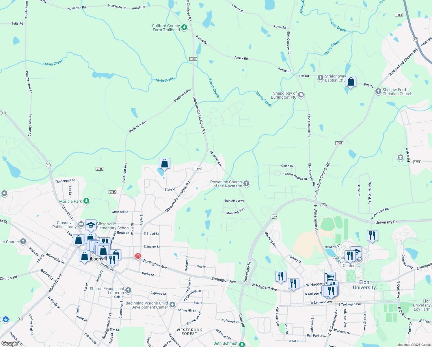 map of restaurants, bars, coffee shops, grocery stores, and more near 206 Trimble Drive in Elon
