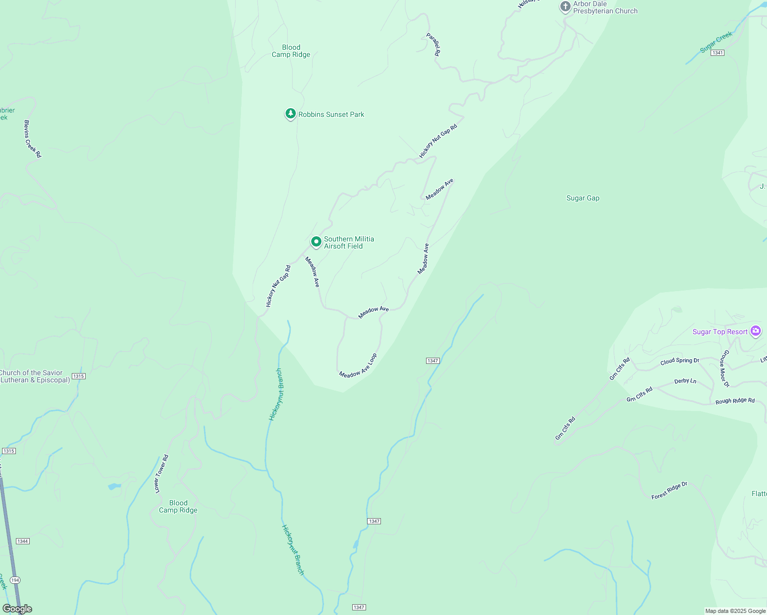 map of restaurants, bars, coffee shops, grocery stores, and more near 299 Meadow Avenue in Banner Elk