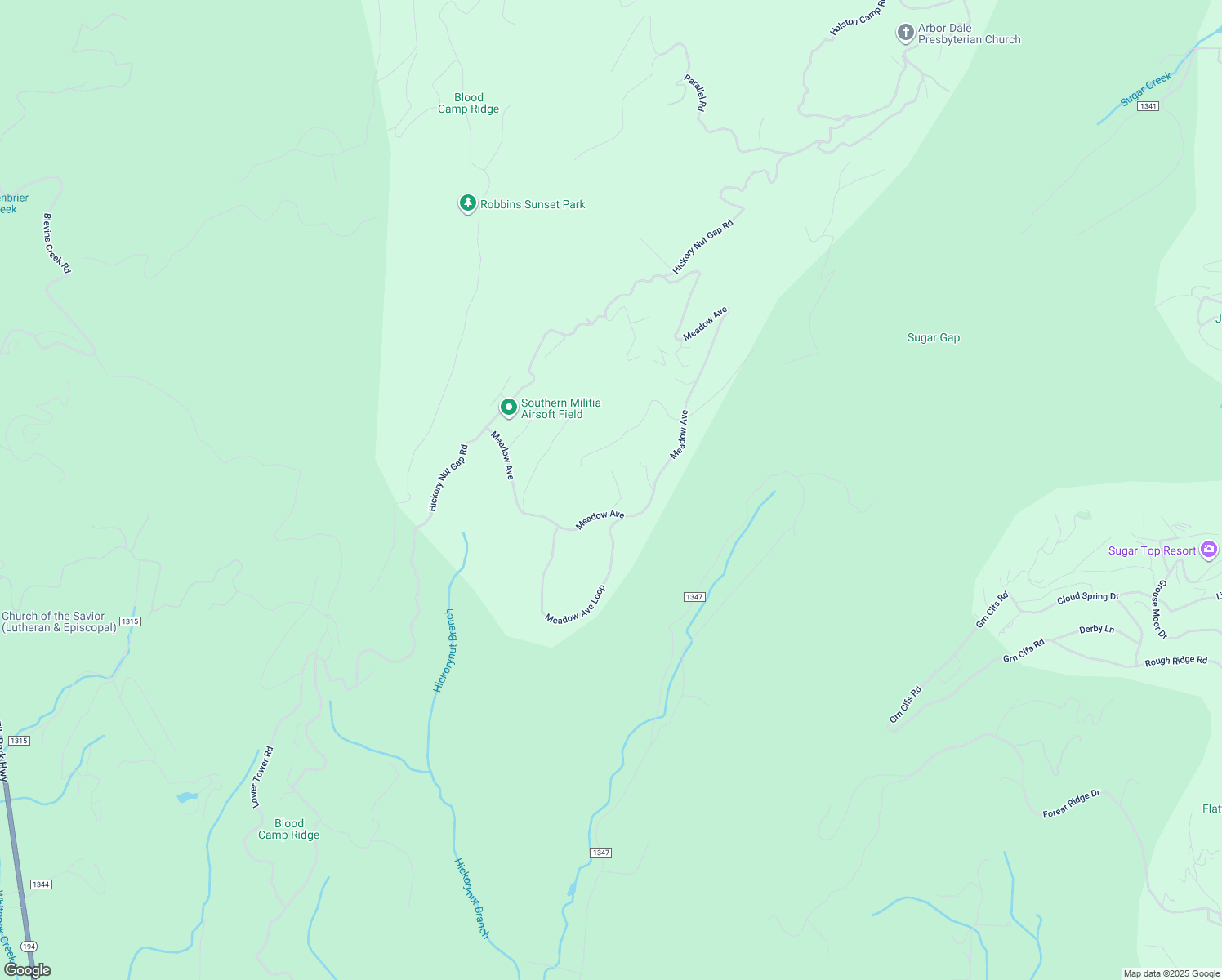 map of restaurants, bars, coffee shops, grocery stores, and more near 299 Meadow Avenue in Banner Elk