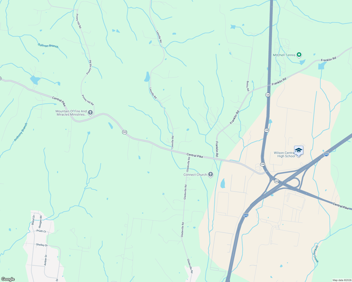 map of restaurants, bars, coffee shops, grocery stores, and more near 4245 Leeville Rd in Mt Juliet