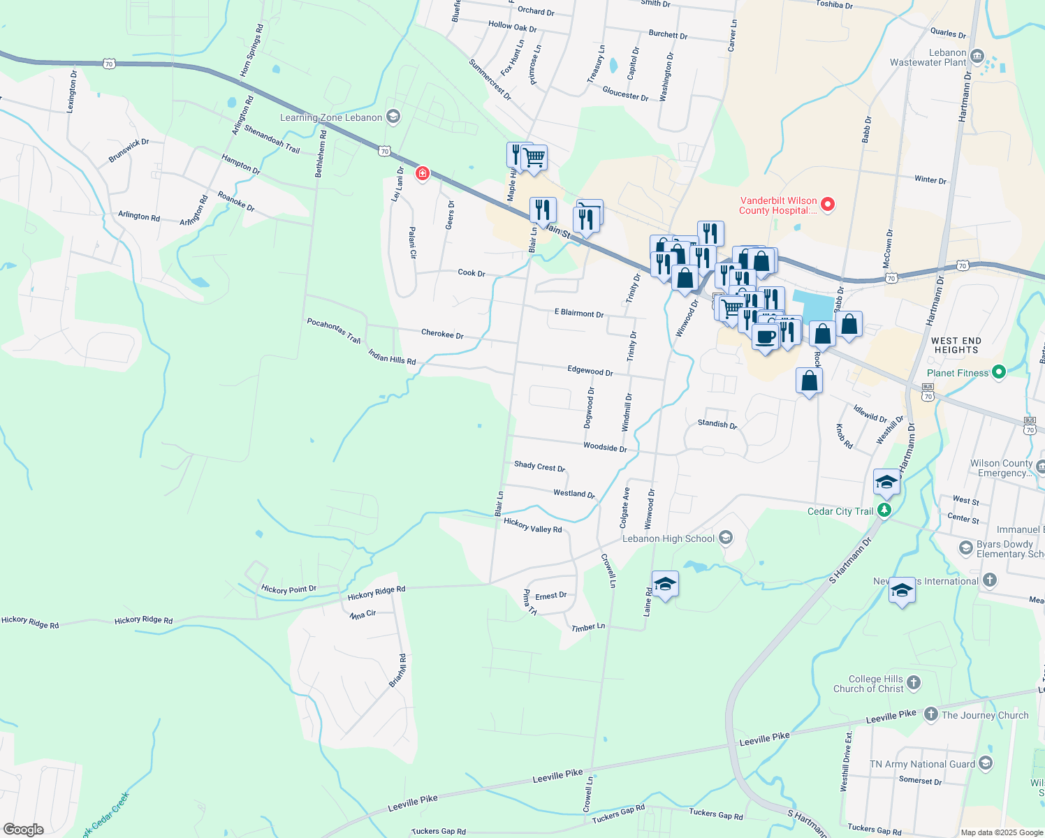 map of restaurants, bars, coffee shops, grocery stores, and more near 213 Blair Lane in Lebanon