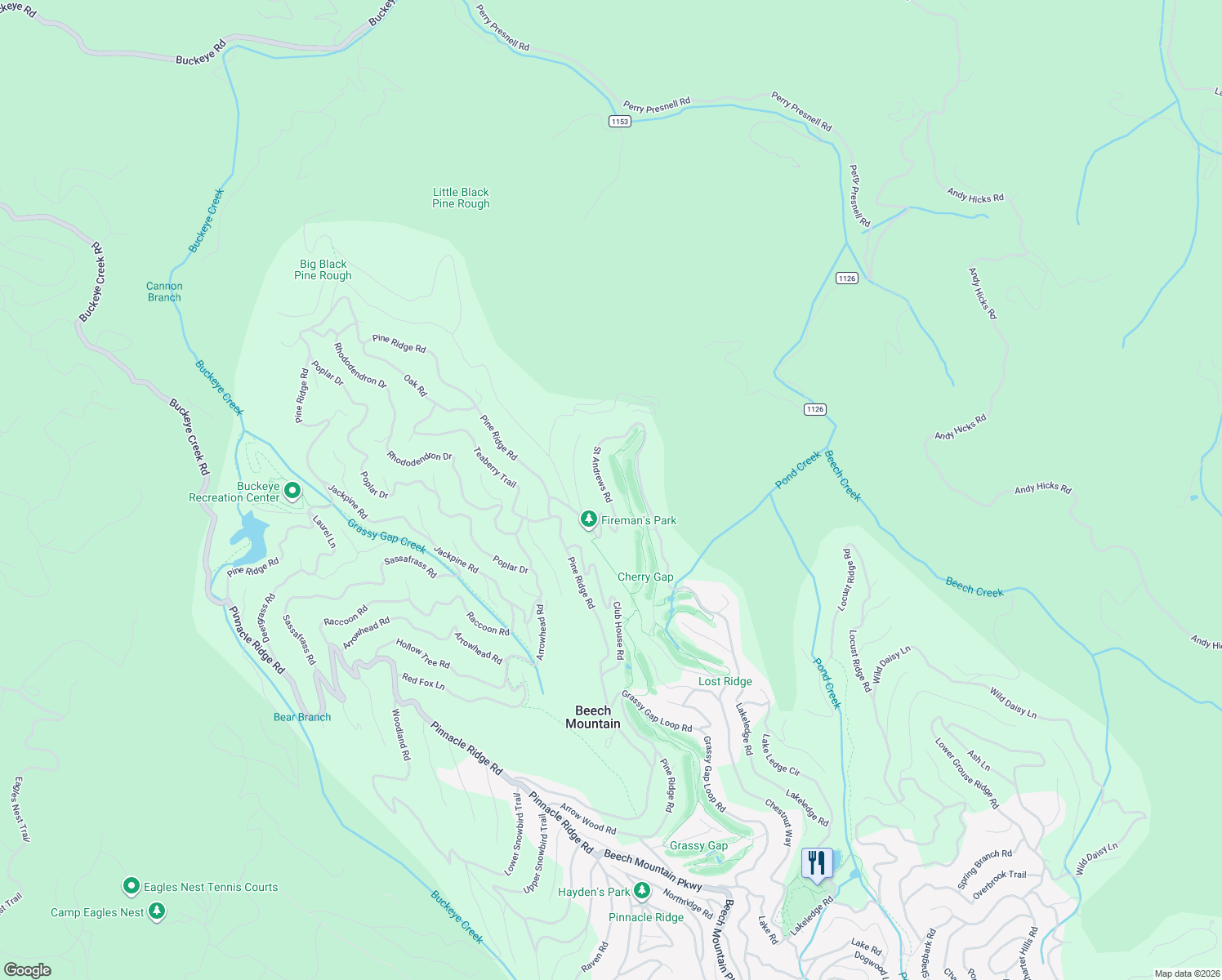 map of restaurants, bars, coffee shops, grocery stores, and more near 493 Saint Andrews Road in Beech Mountain