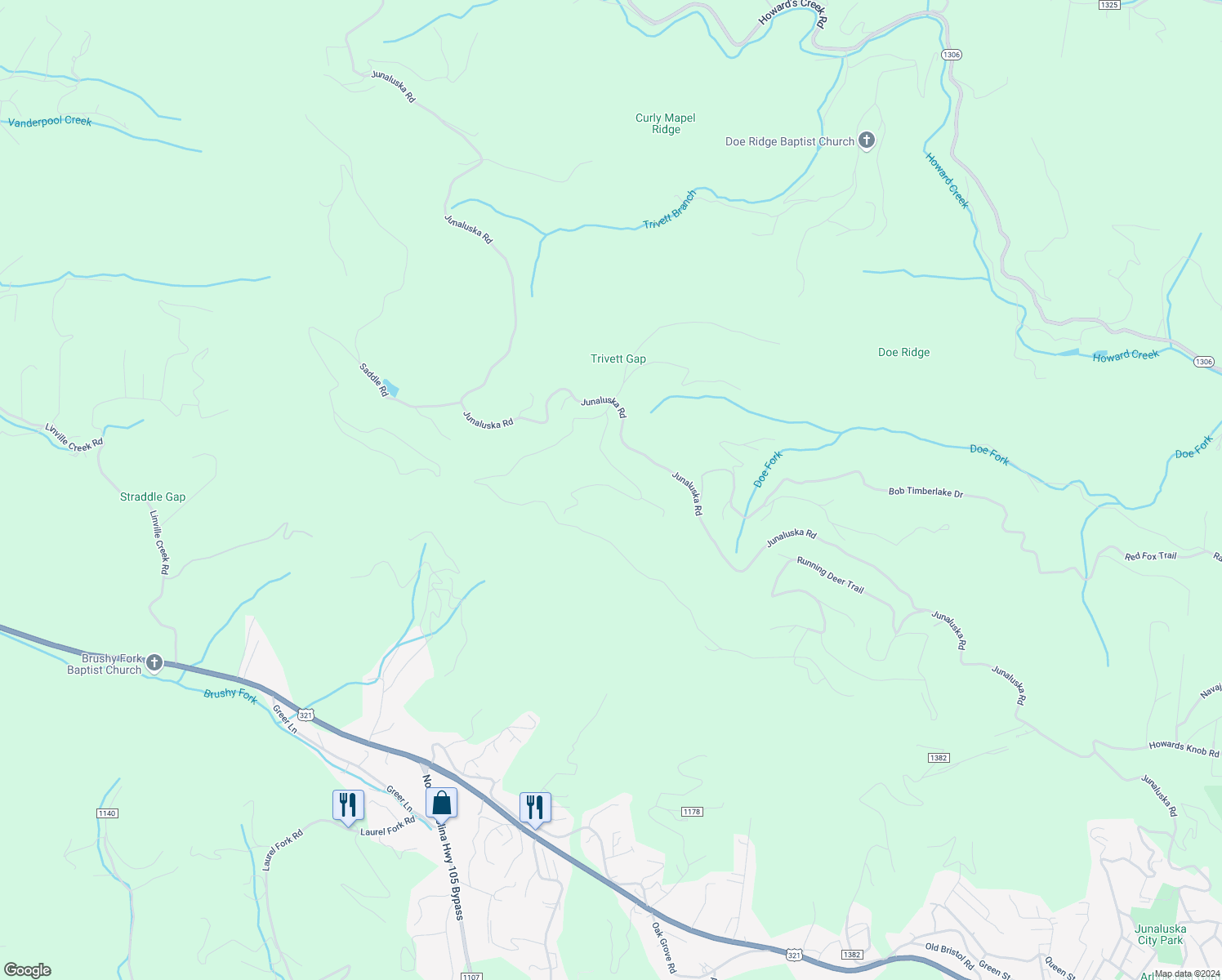 map of restaurants, bars, coffee shops, grocery stores, and more near 507 Boone Ridge Lane in Boone