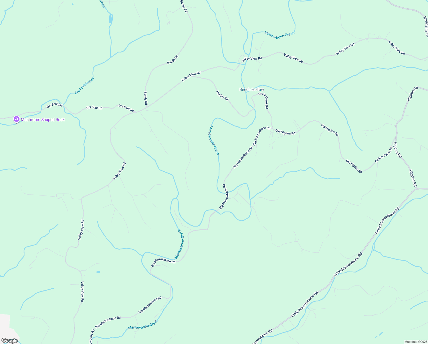 map of restaurants, bars, coffee shops, grocery stores, and more near 1707 Big Marrowbone Road in Cheatham County