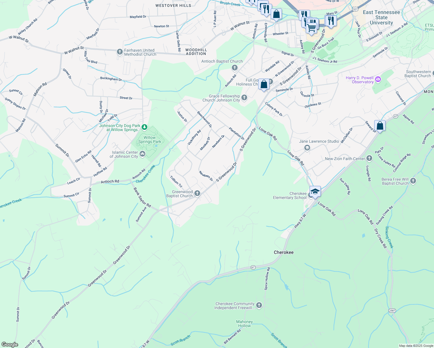map of restaurants, bars, coffee shops, grocery stores, and more near 2913 South Greenwood Drive in Johnson City