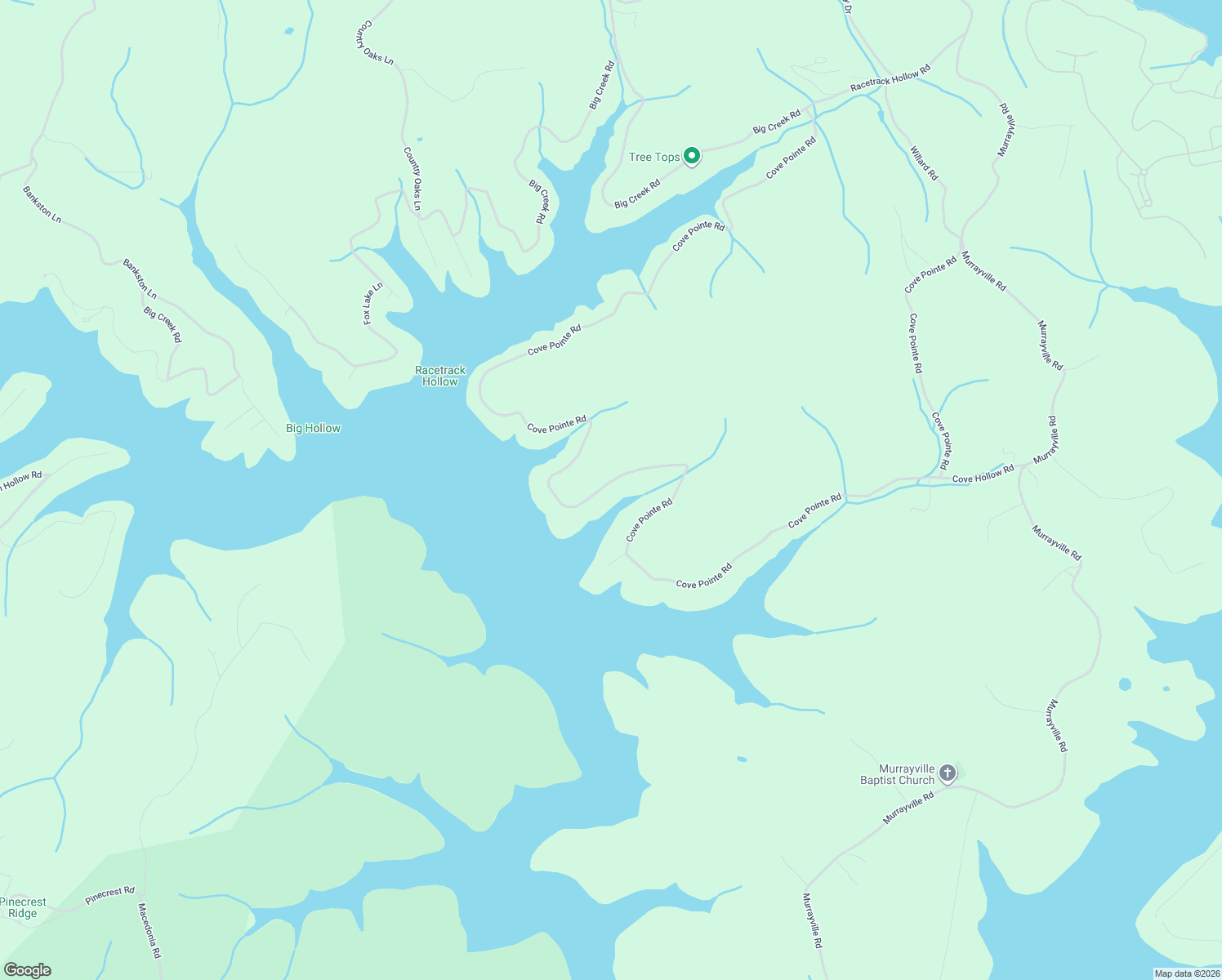 map of restaurants, bars, coffee shops, grocery stores, and more near 1353 Cove Pointe Road in LaFollette