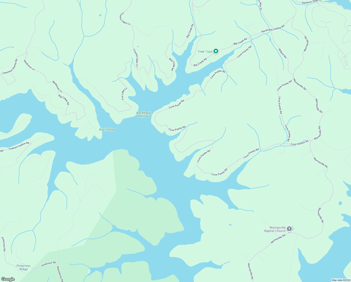 map of restaurants, bars, coffee shops, grocery stores, and more near 1447 Cove Pointe Road in LaFollette