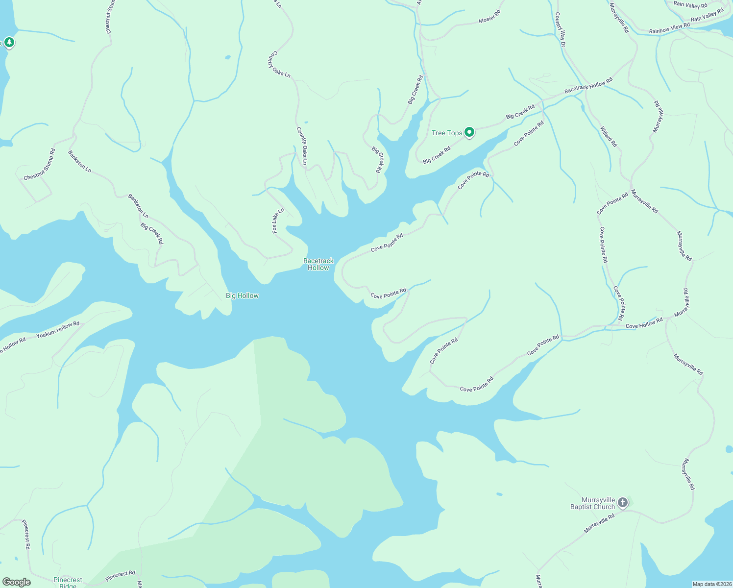 map of restaurants, bars, coffee shops, grocery stores, and more near 1649 Cove Pointe Road in LaFollette