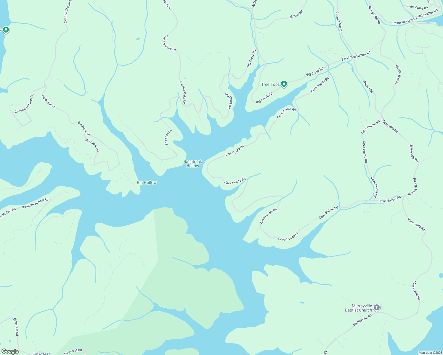map of restaurants, bars, coffee shops, grocery stores, and more near 1649 Cove Pointe Road in LaFollette