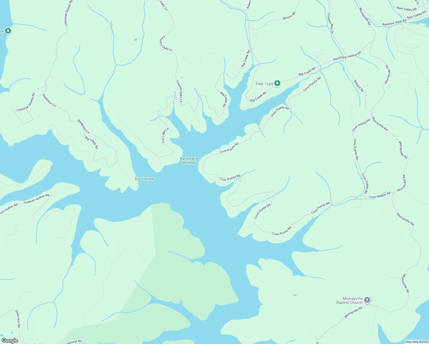map of restaurants, bars, coffee shops, grocery stores, and more near 1691 Cove Pointe Road in LaFollette