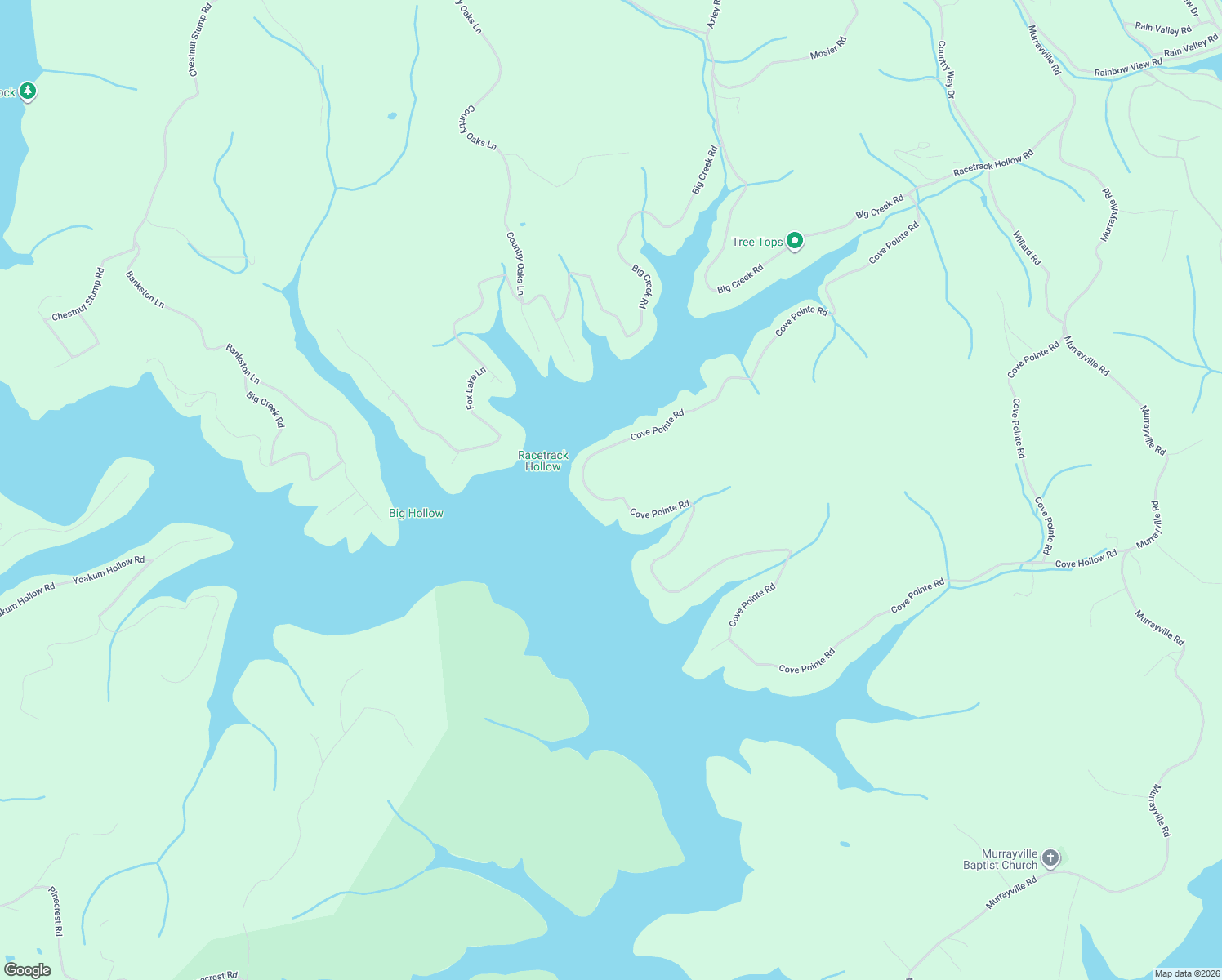 map of restaurants, bars, coffee shops, grocery stores, and more near 1691 Cove Pointe Road in LaFollette
