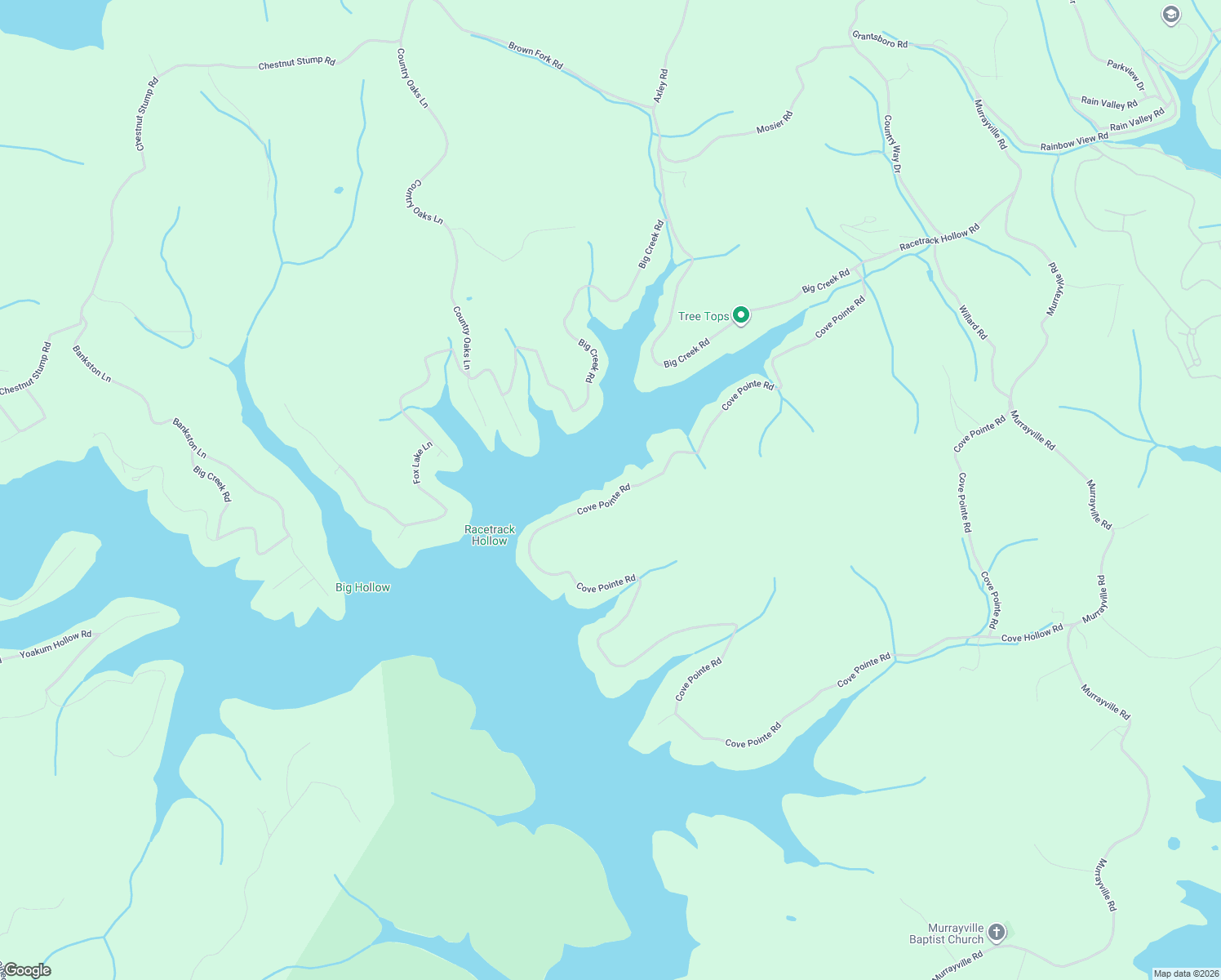 map of restaurants, bars, coffee shops, grocery stores, and more near 1933 Cove Pointe Road in LaFollette