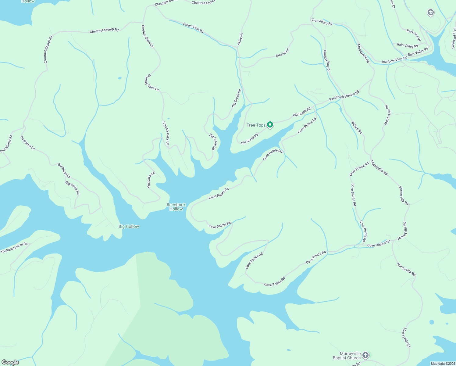 map of restaurants, bars, coffee shops, grocery stores, and more near 1933 Cove Pointe Road in LaFollette