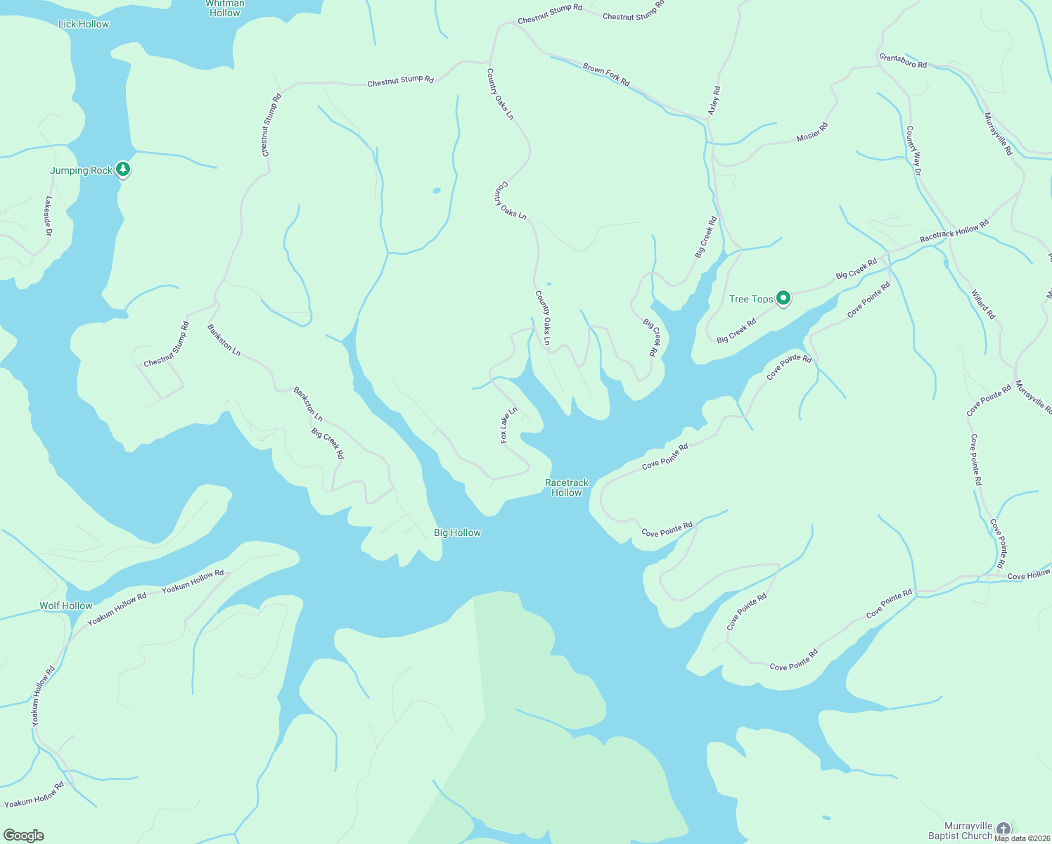 map of restaurants, bars, coffee shops, grocery stores, and more near 125 Fox Lake Lane in LaFollette