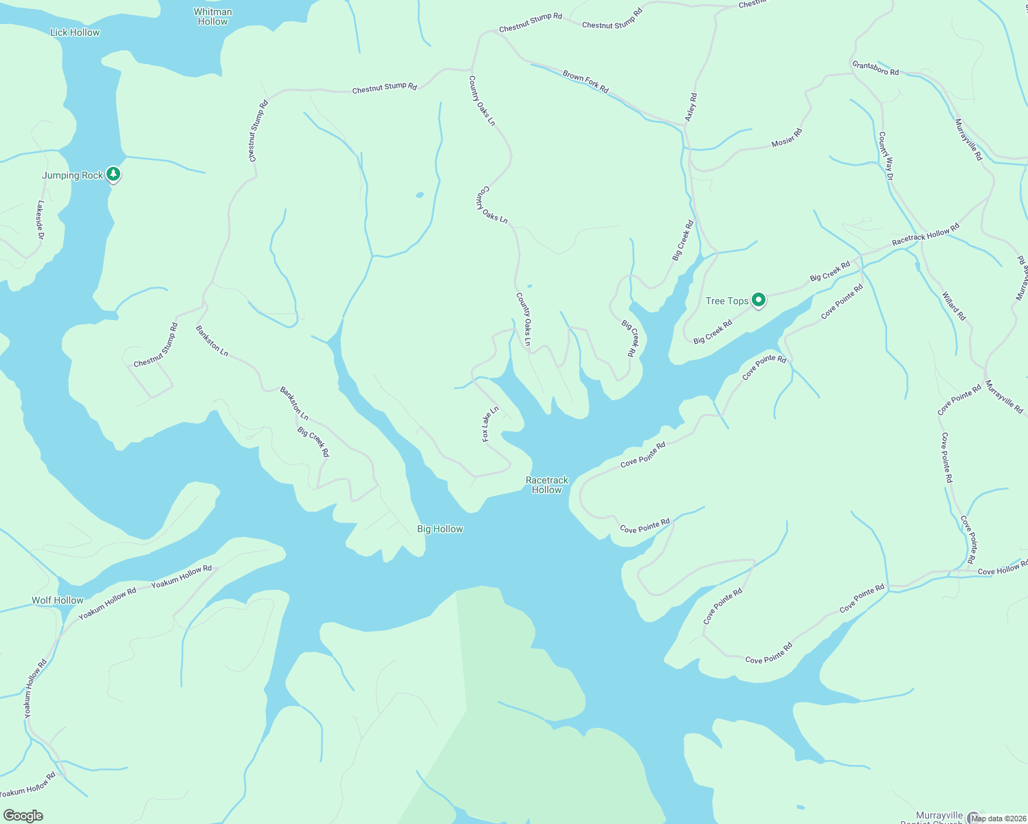 map of restaurants, bars, coffee shops, grocery stores, and more near 125 Fox Lake Lane in LaFollette