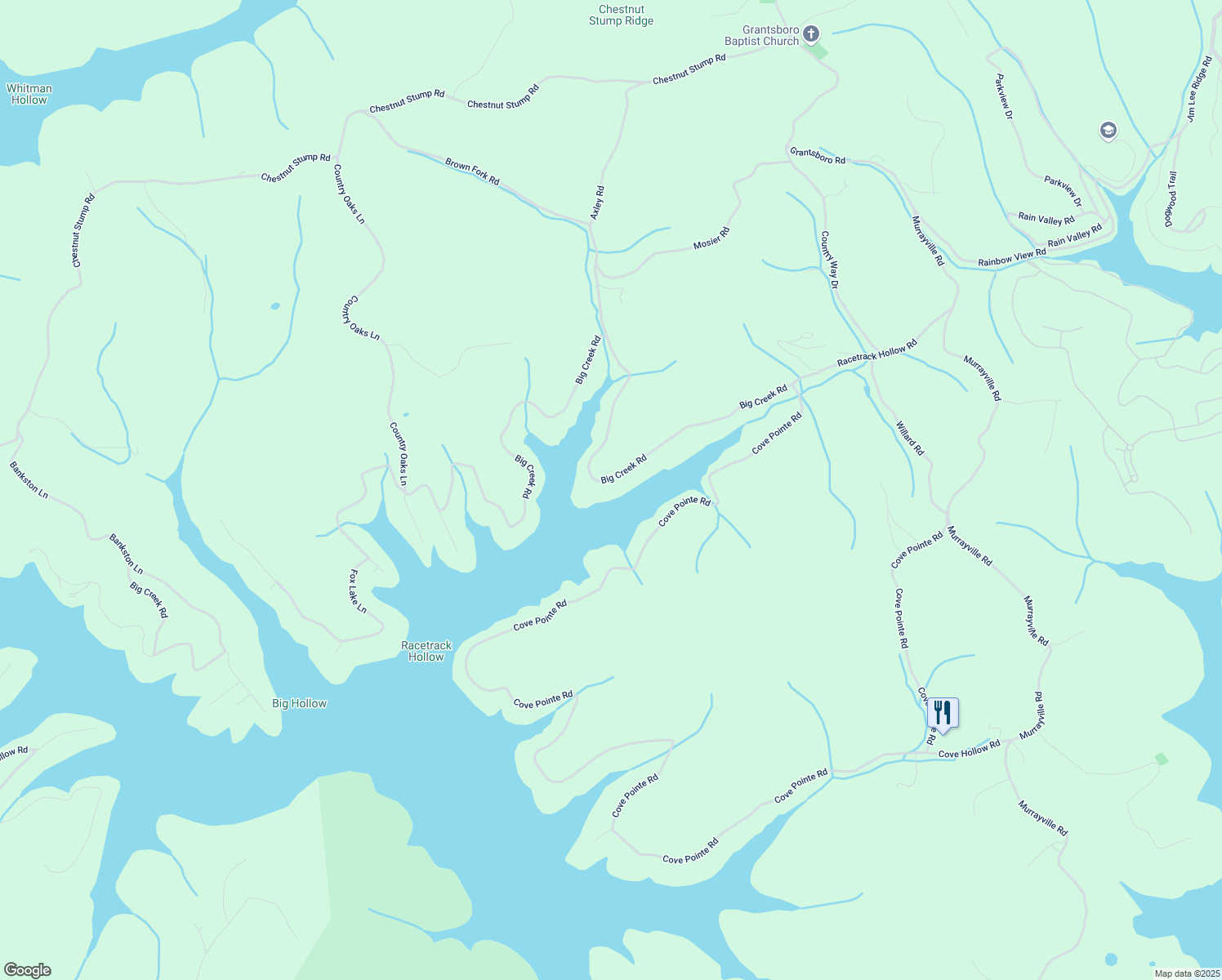 map of restaurants, bars, coffee shops, grocery stores, and more near 665 Big Creek Road in LaFollette
