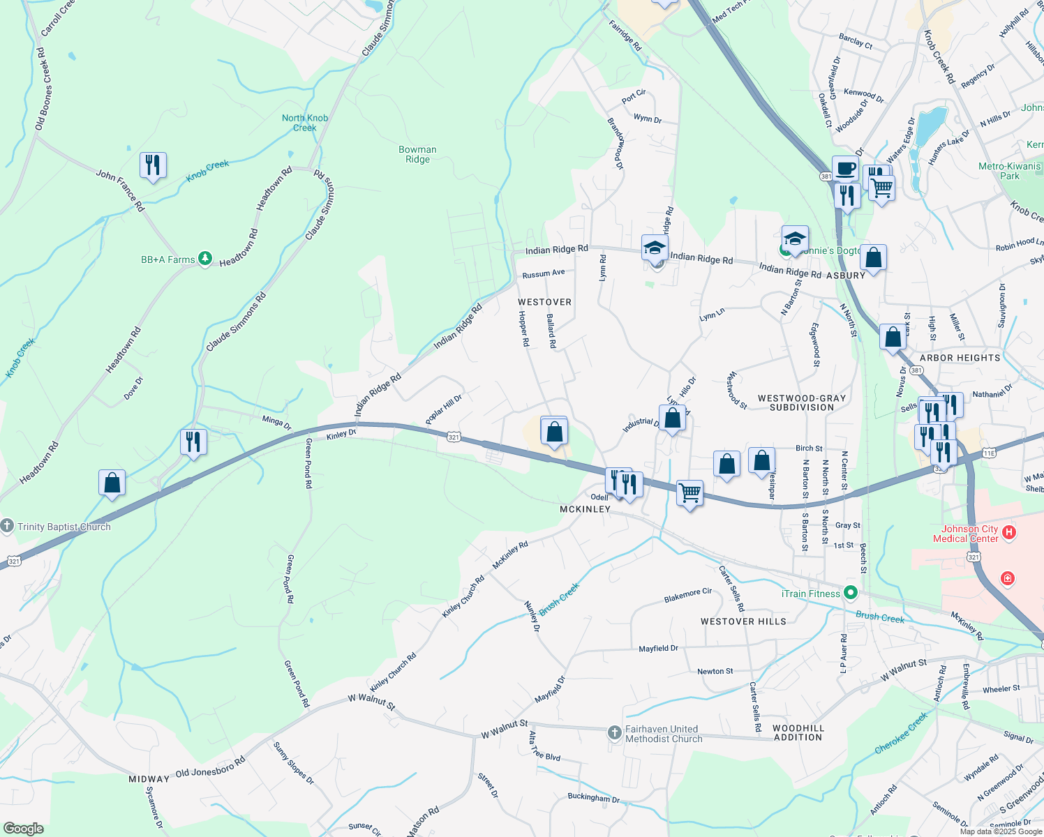 map of restaurants, bars, coffee shops, grocery stores, and more near 138 Faith Circle in Johnson City
