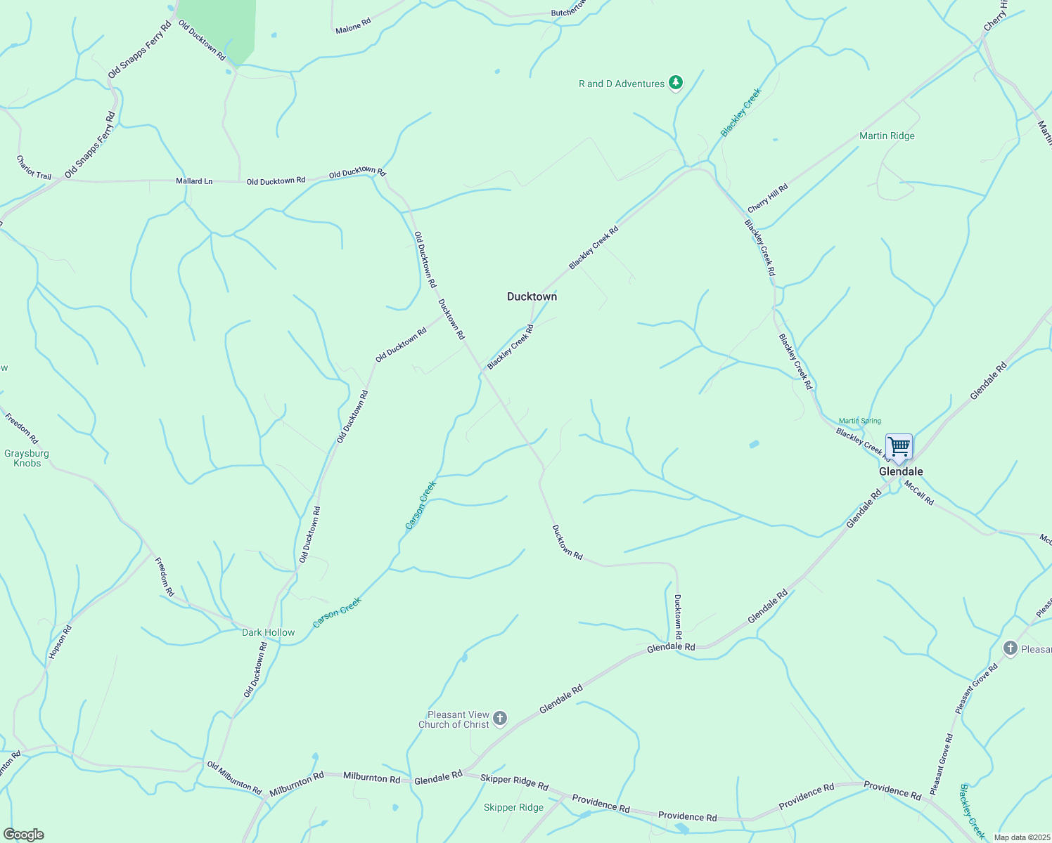 map of restaurants, bars, coffee shops, grocery stores, and more near 388 Ducktown Rd in Washington