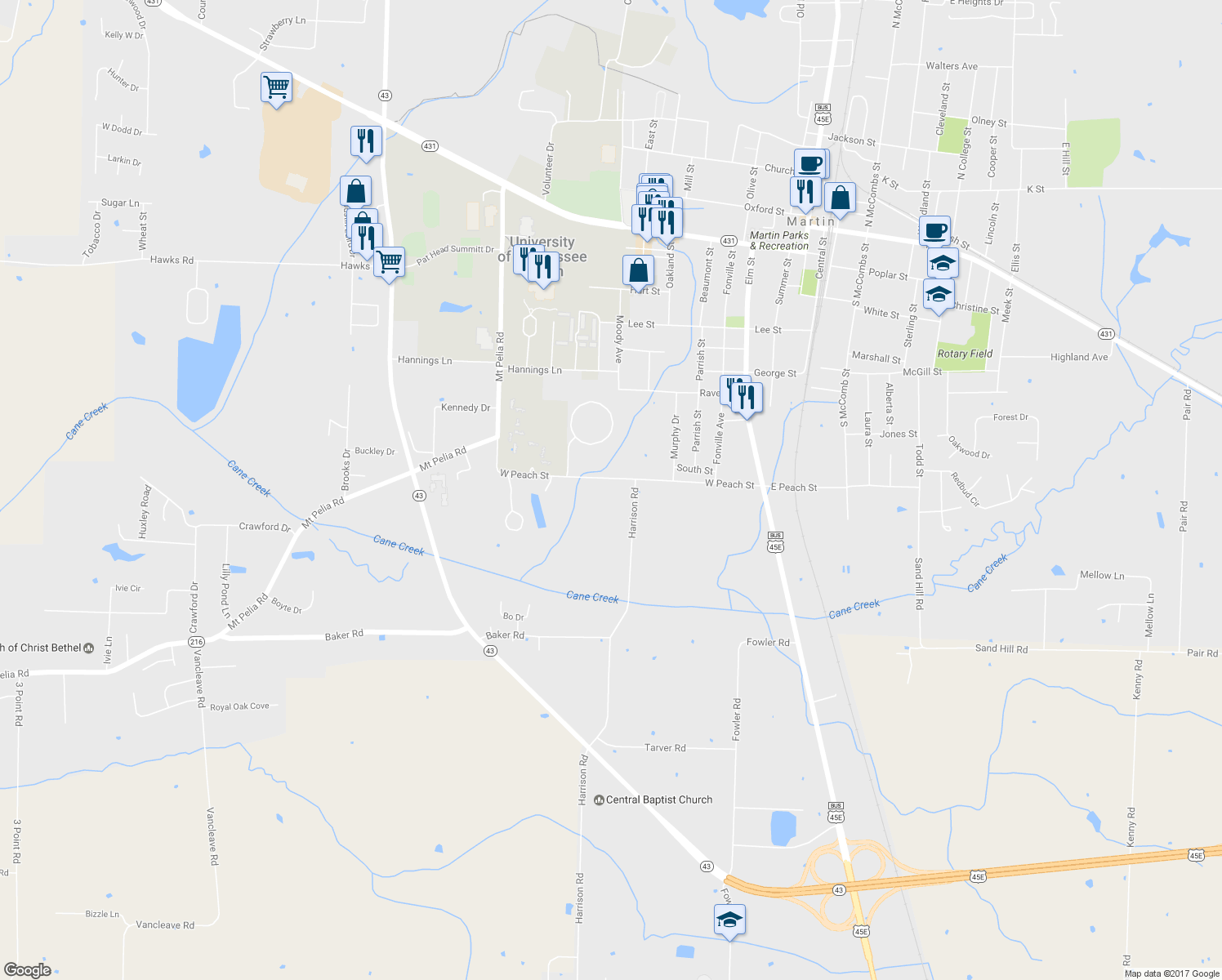 map of restaurants, bars, coffee shops, grocery stores, and more near 206 West Peach Street in Martin
