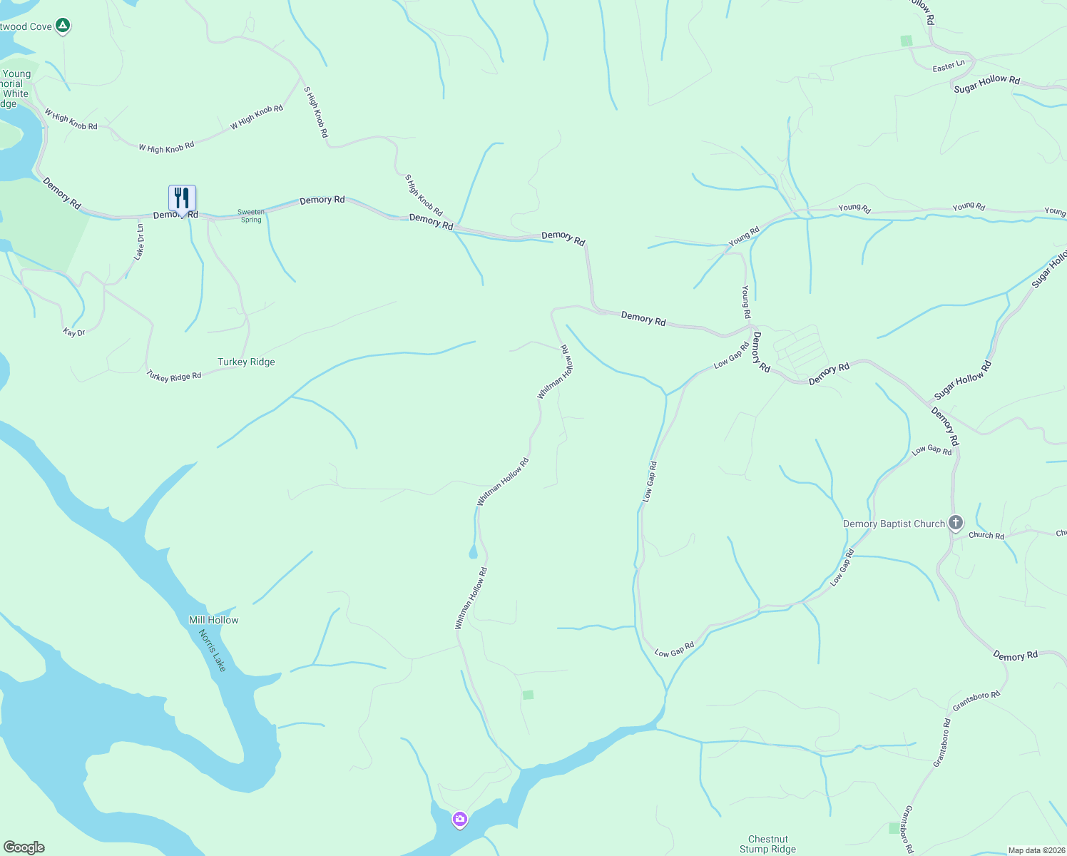 map of restaurants, bars, coffee shops, grocery stores, and more near 202 Ginnie Lane in LaFollette