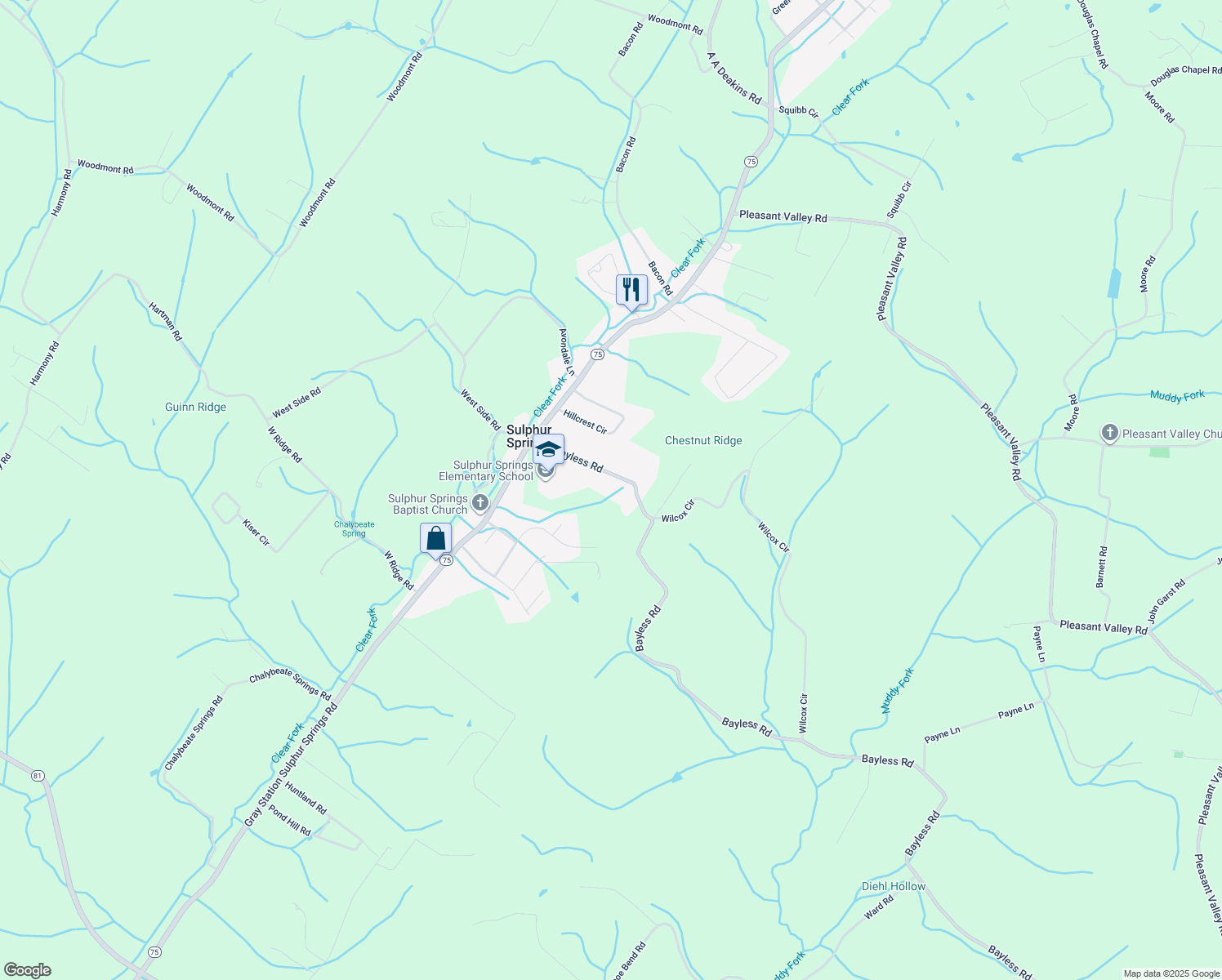 map of restaurants, bars, coffee shops, grocery stores, and more near 166 Bayless Road in Jonesborough