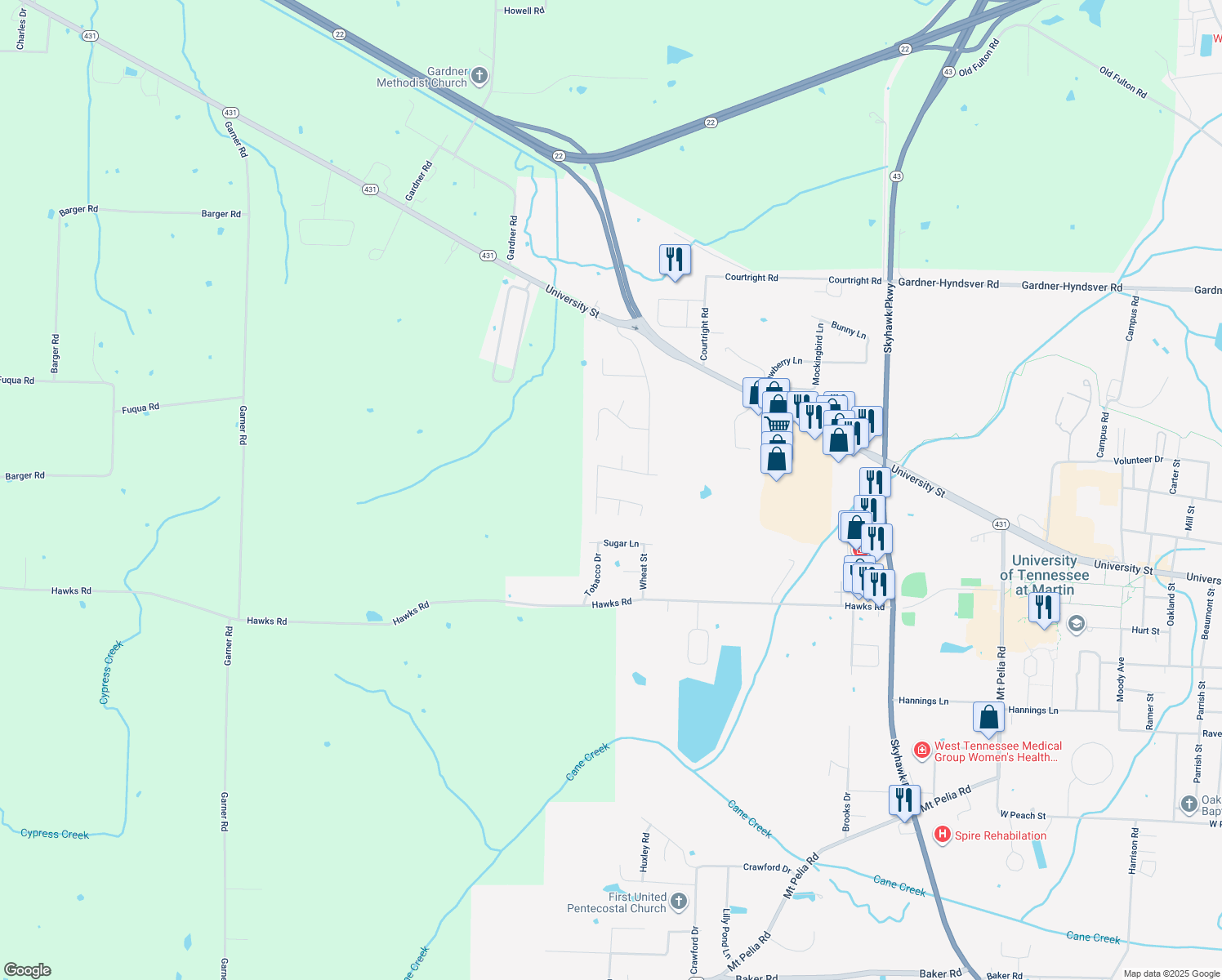 map of restaurants, bars, coffee shops, grocery stores, and more near 102 Larkin Drive in Martin