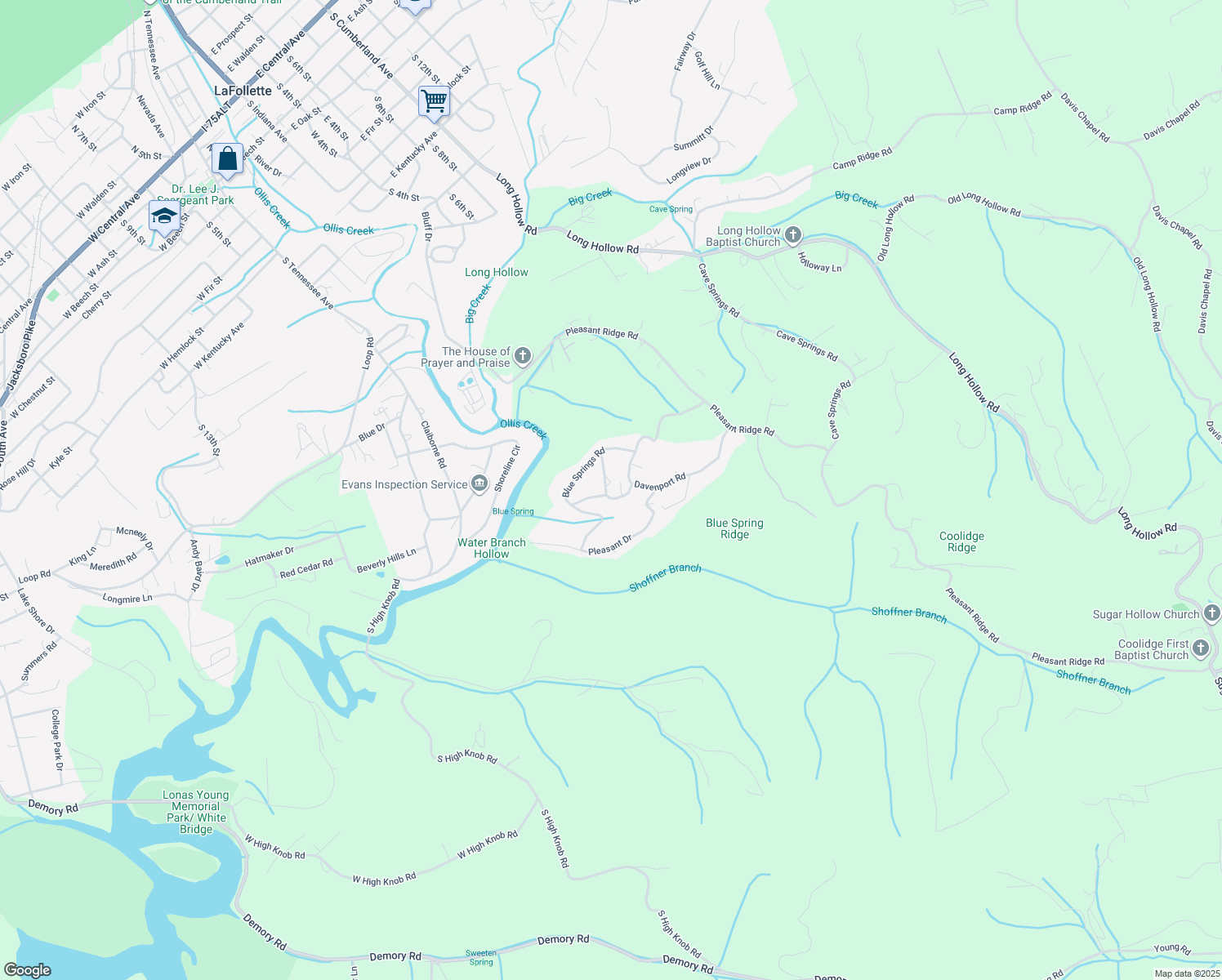 map of restaurants, bars, coffee shops, grocery stores, and more near 156 Dogwood Lane in LaFollette