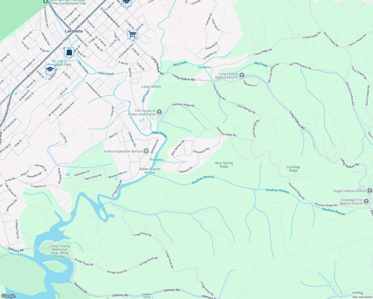 map of restaurants, bars, coffee shops, grocery stores, and more near 156 Dogwood Lane in LaFollette