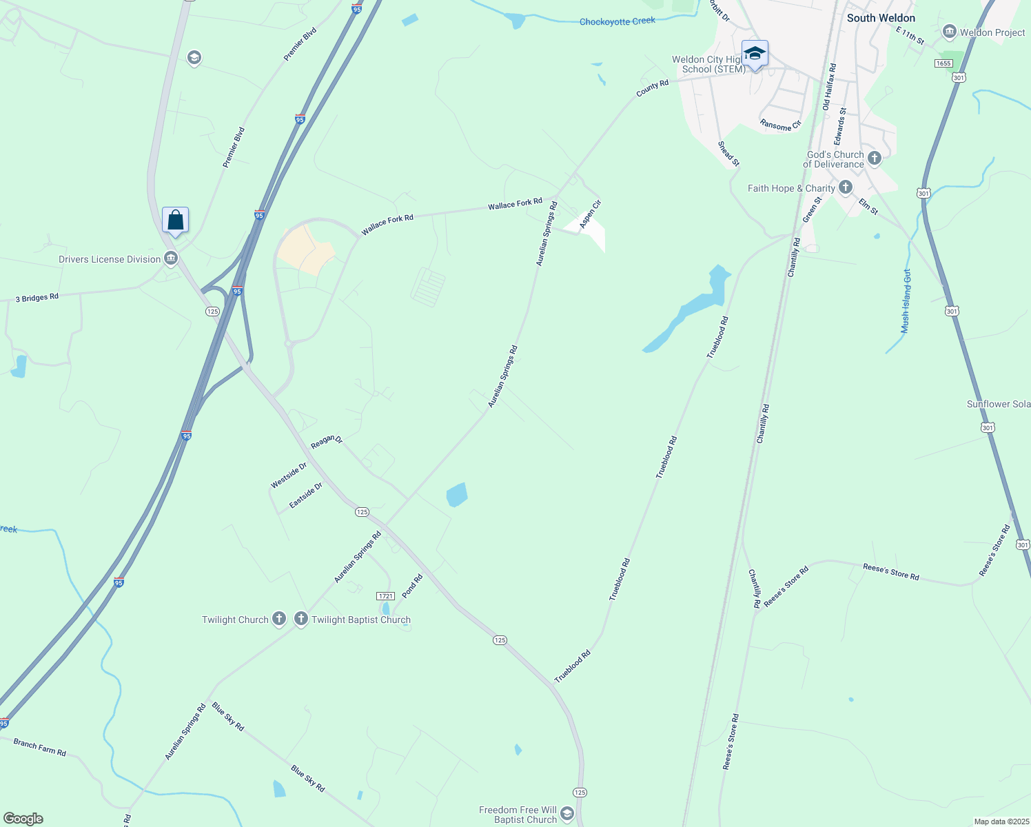 map of restaurants, bars, coffee shops, grocery stores, and more near 84 Dorene Lane in Roanoke Rapids