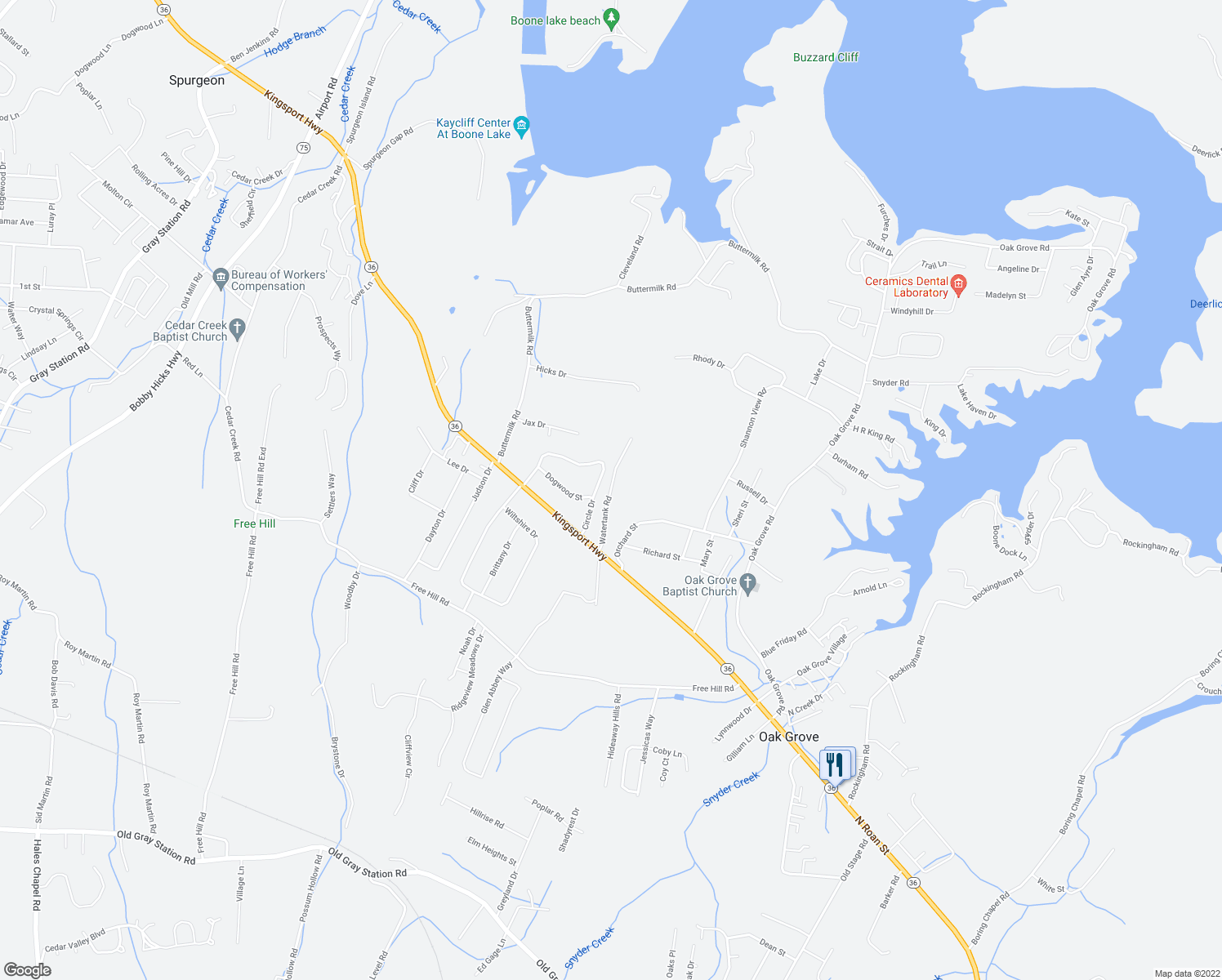 map of restaurants, bars, coffee shops, grocery stores, and more near 298 Watertank Road in Johnson City