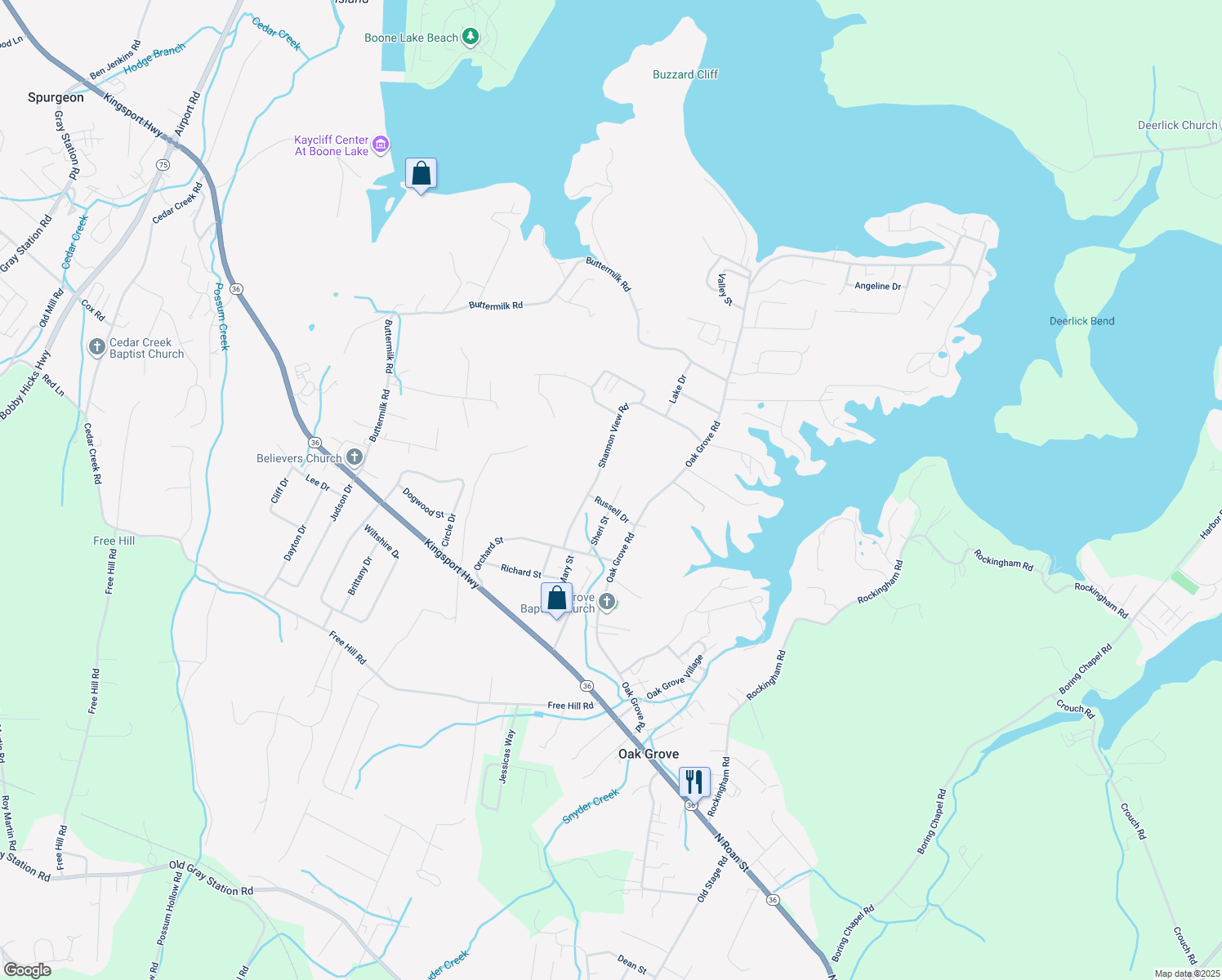 map of restaurants, bars, coffee shops, grocery stores, and more near 213 Sheri Street in Johnson City