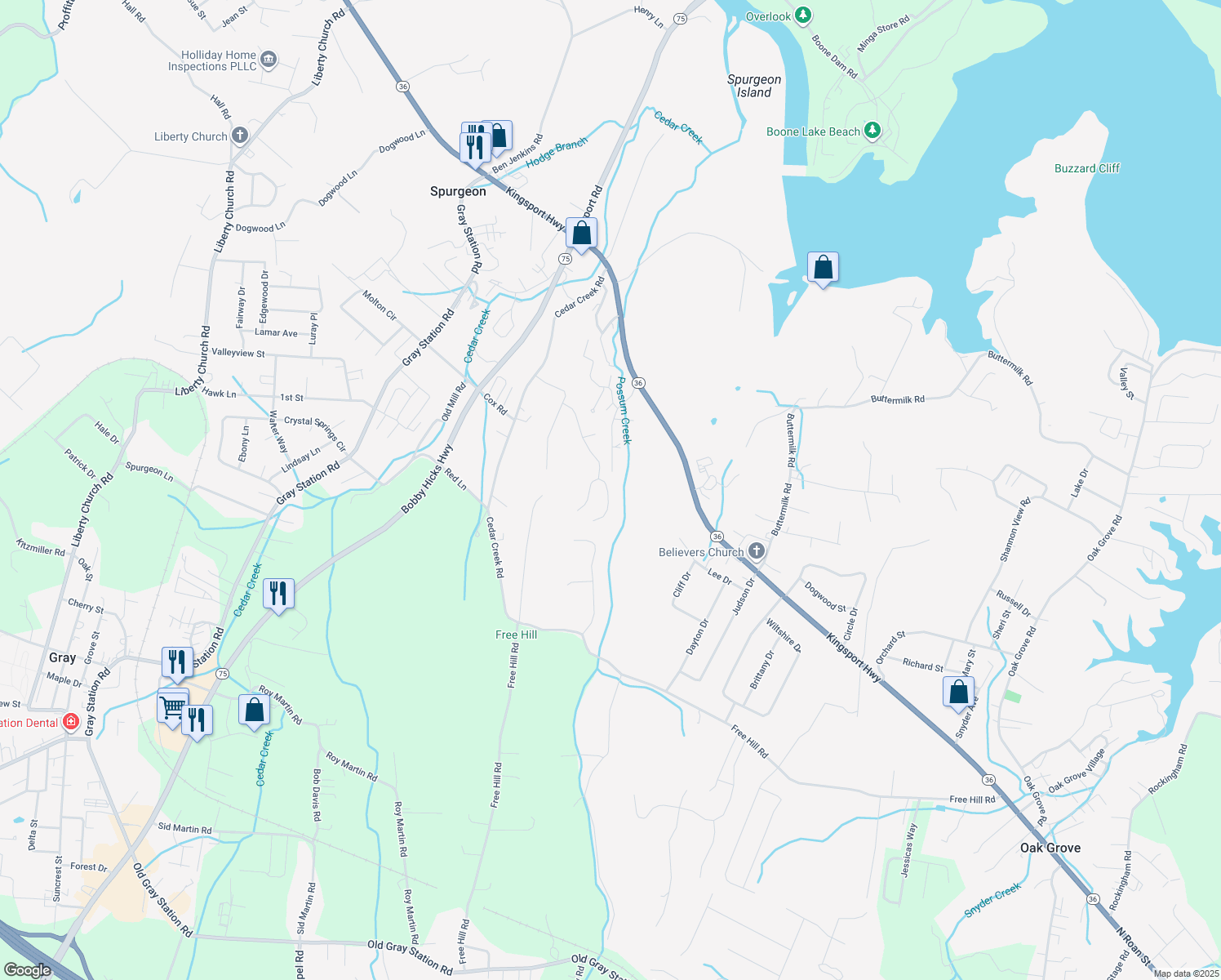map of restaurants, bars, coffee shops, grocery stores, and more near 169 Dove Ln in Johnson City