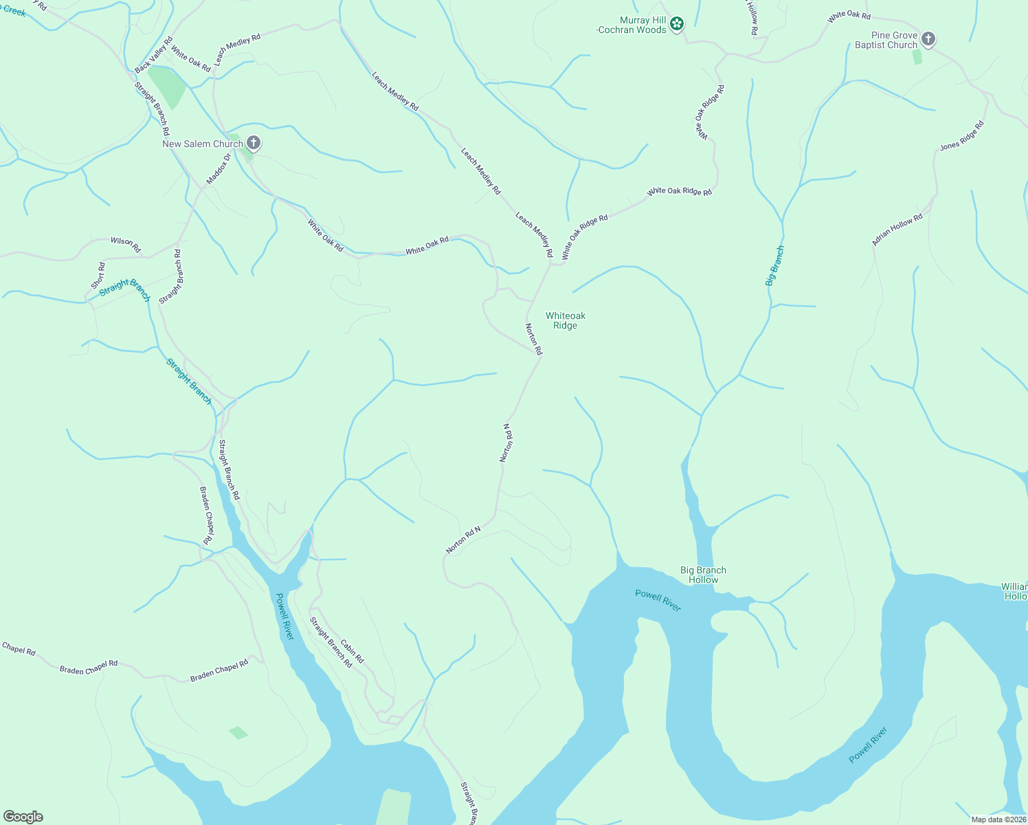 map of restaurants, bars, coffee shops, grocery stores, and more near 447 Norton Road in Speedwell