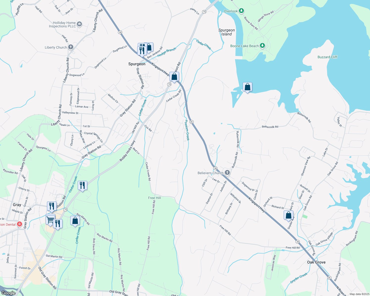 map of restaurants, bars, coffee shops, grocery stores, and more near 169 Dove Lane in Johnson City