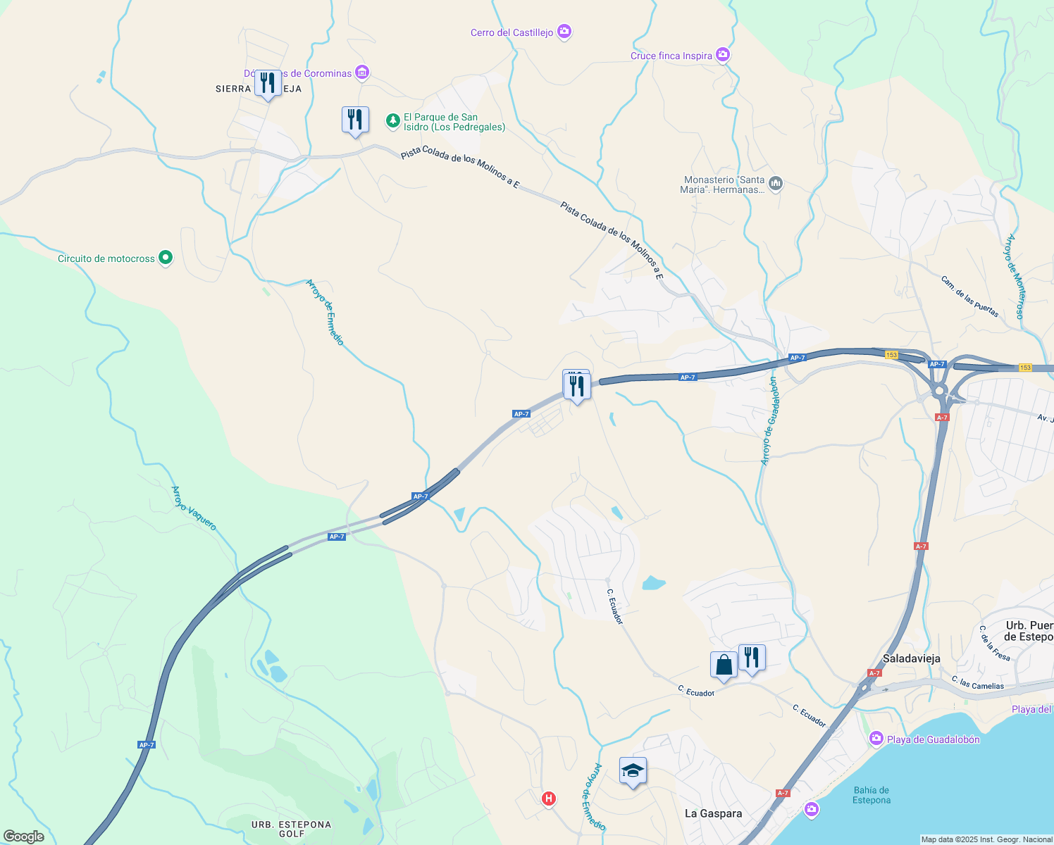 map of restaurants, bars, coffee shops, grocery stores, and more near Calle Villa Borghese in Estepona