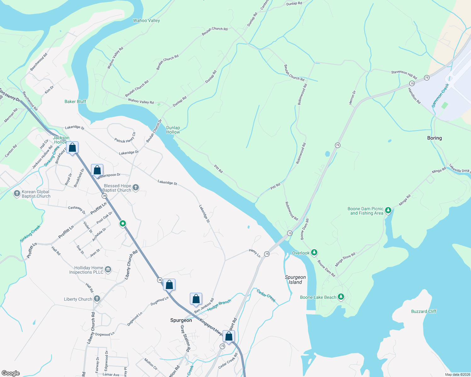 map of restaurants, bars, coffee shops, grocery stores, and more near 391 Pitt Road in Kingsport