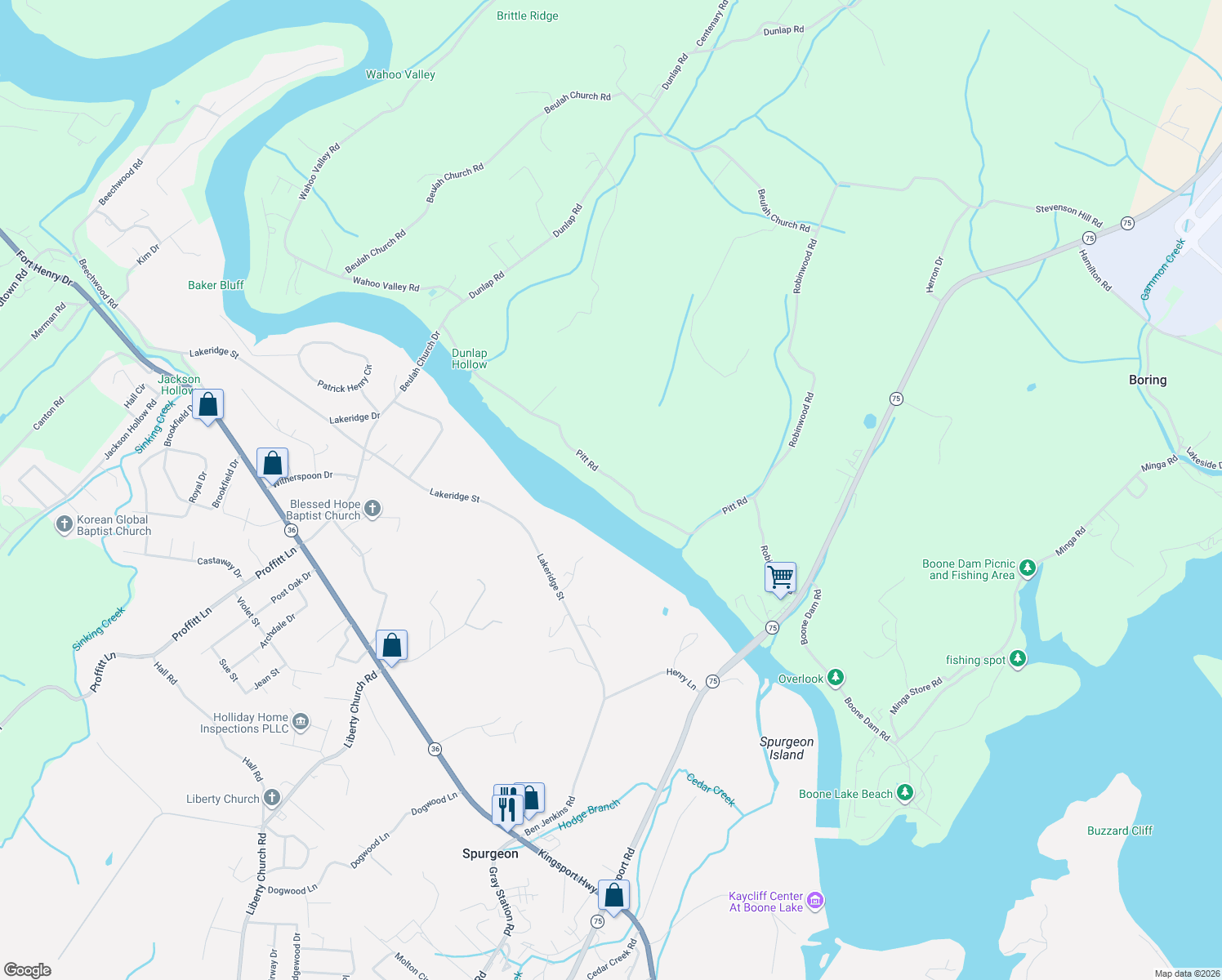map of restaurants, bars, coffee shops, grocery stores, and more near 391 Pitt Road in Kingsport