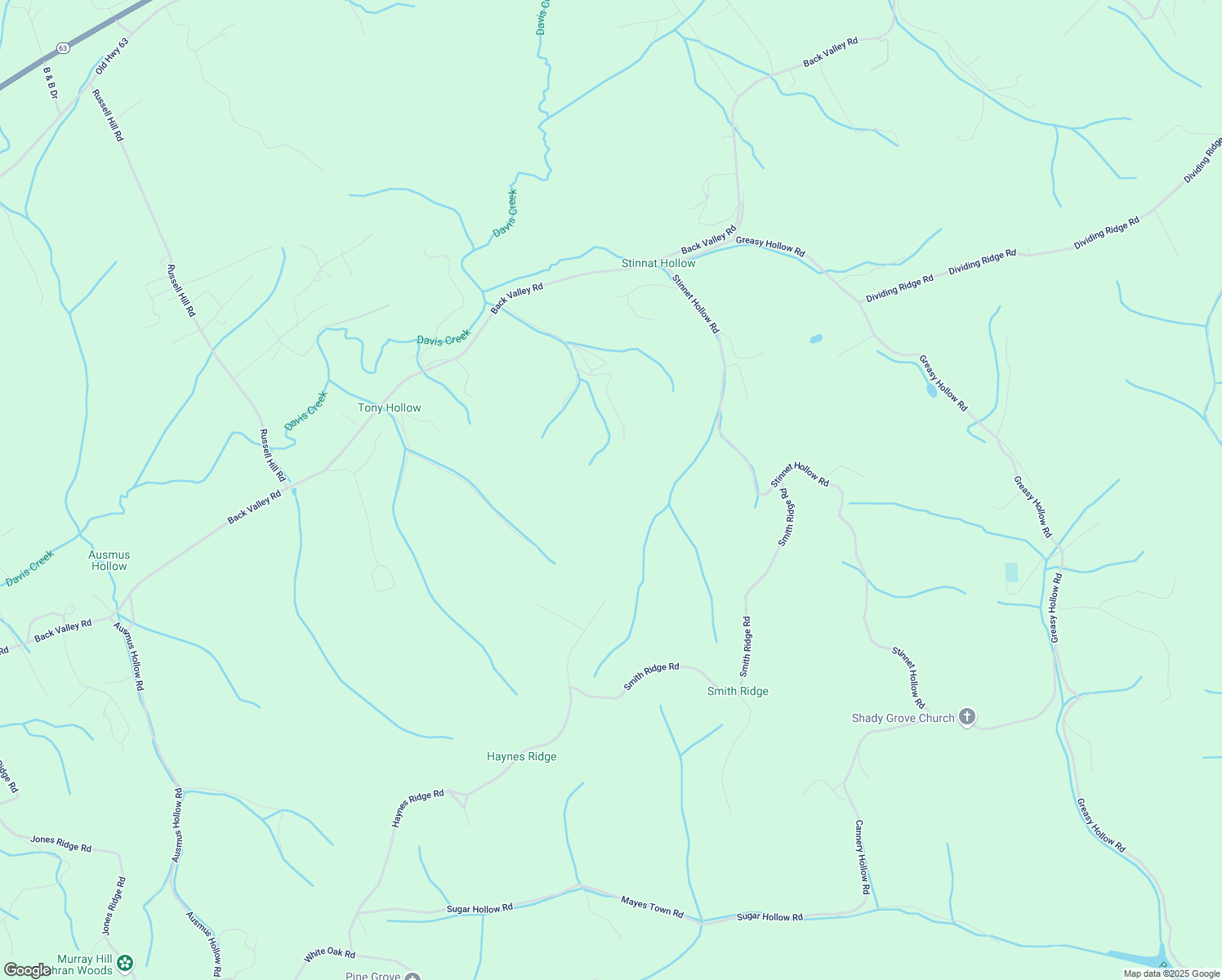 map of restaurants, bars, coffee shops, grocery stores, and more near 210 Brumitt Lane in Speedwell
