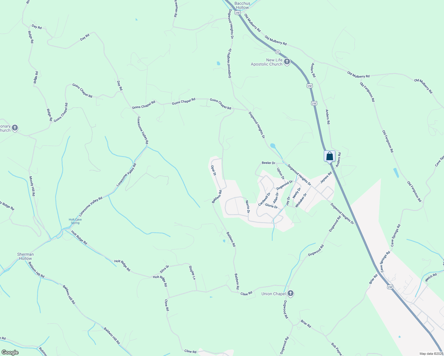 map of restaurants, bars, coffee shops, grocery stores, and more near 599 Baldwin Road in Tazewell