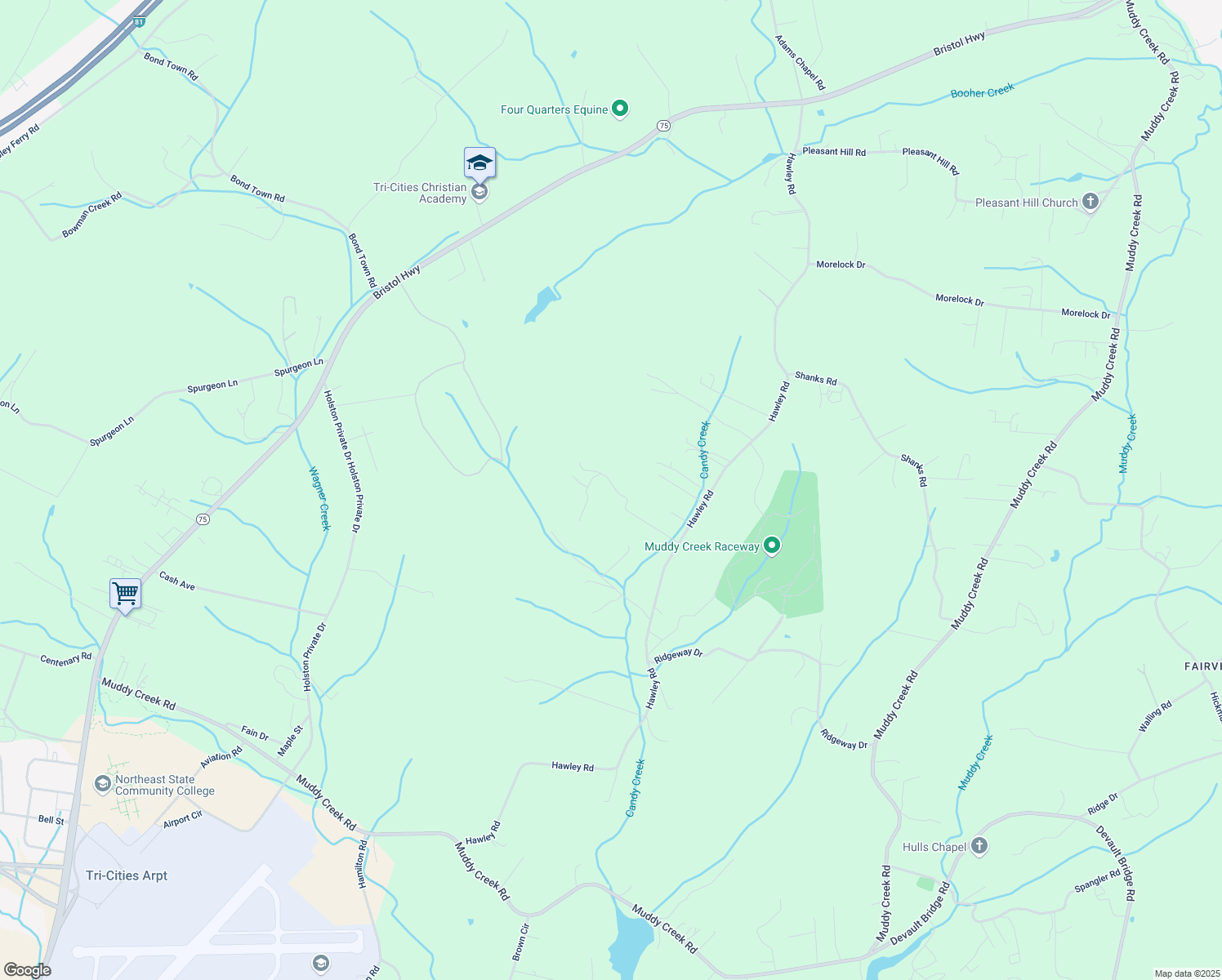 map of restaurants, bars, coffee shops, grocery stores, and more near 698 Hawley Road in Blountville