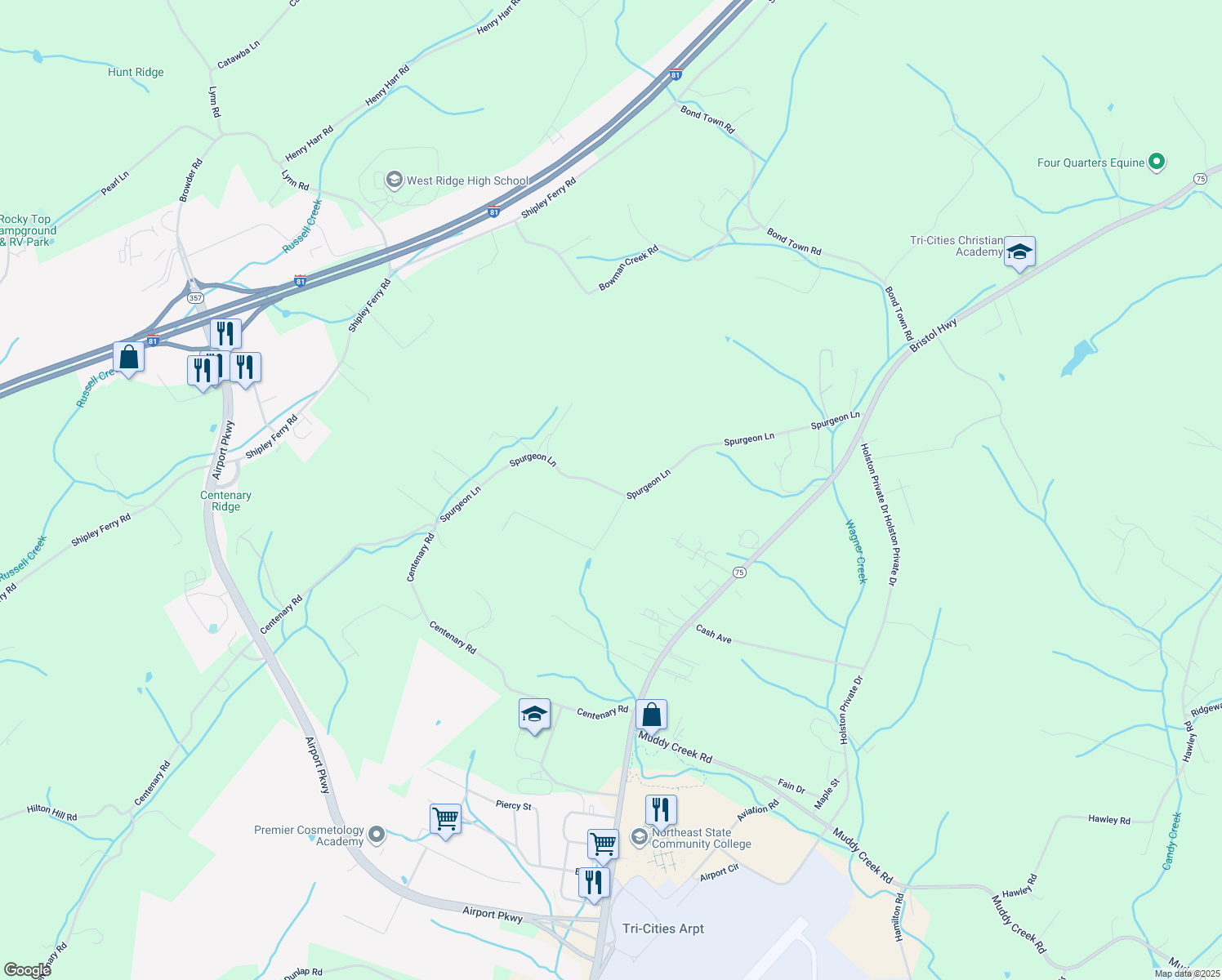 map of restaurants, bars, coffee shops, grocery stores, and more near 439 Spurgeon Lane in Blountville